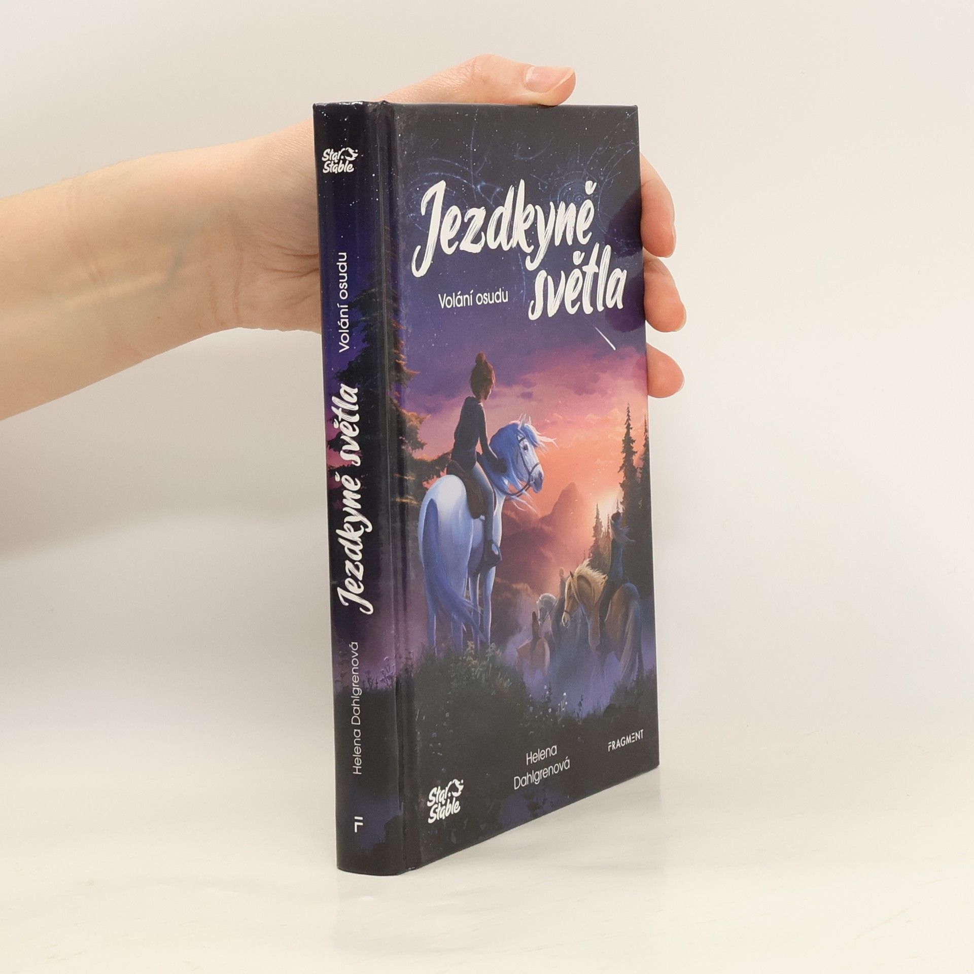 Helena Dahlgren Jezdkyně světla. Volání osudu