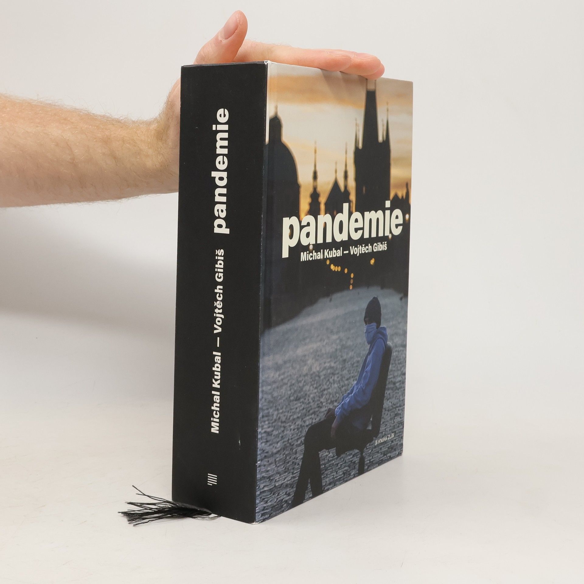 Michal Kubal Pandemie