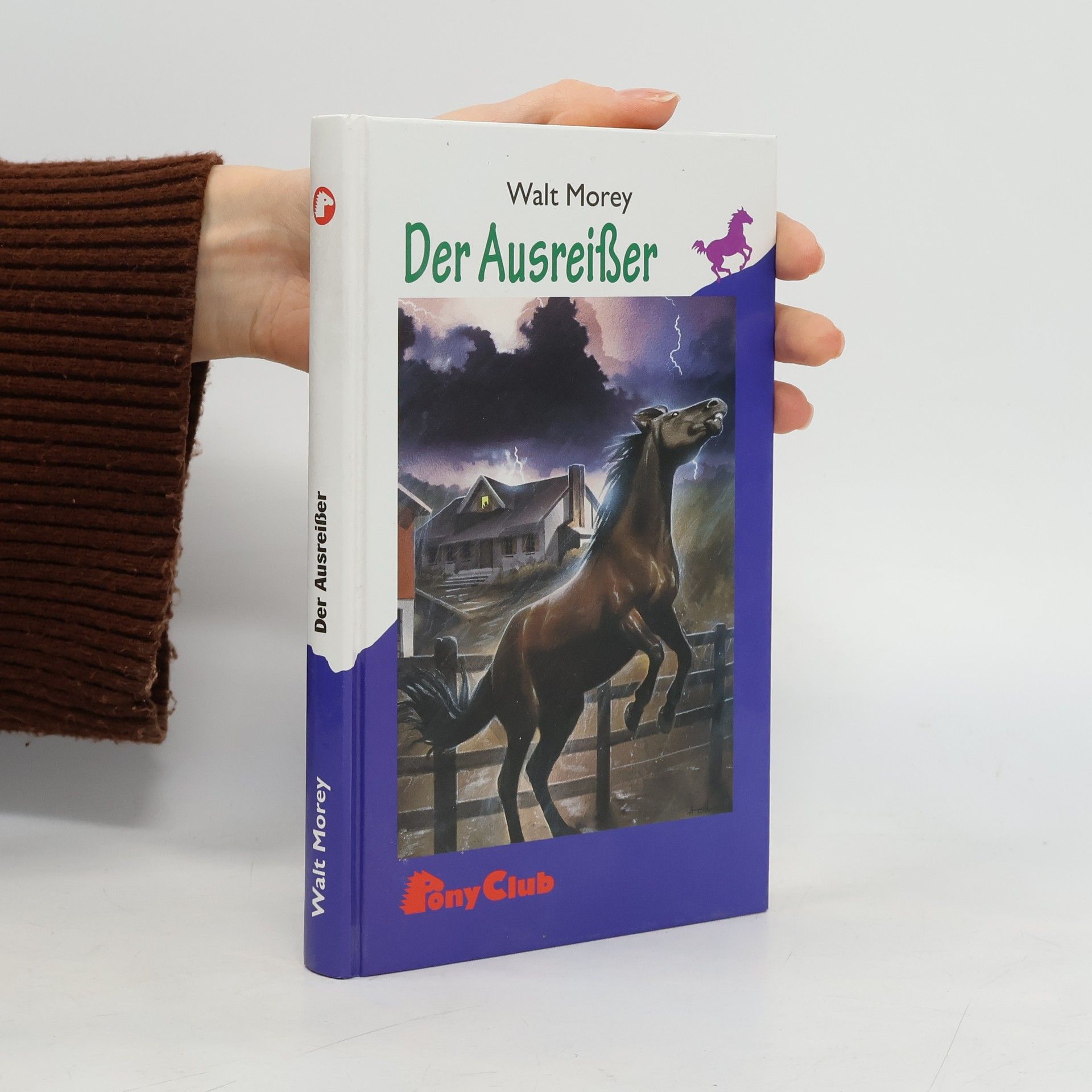 Der Ausreisser