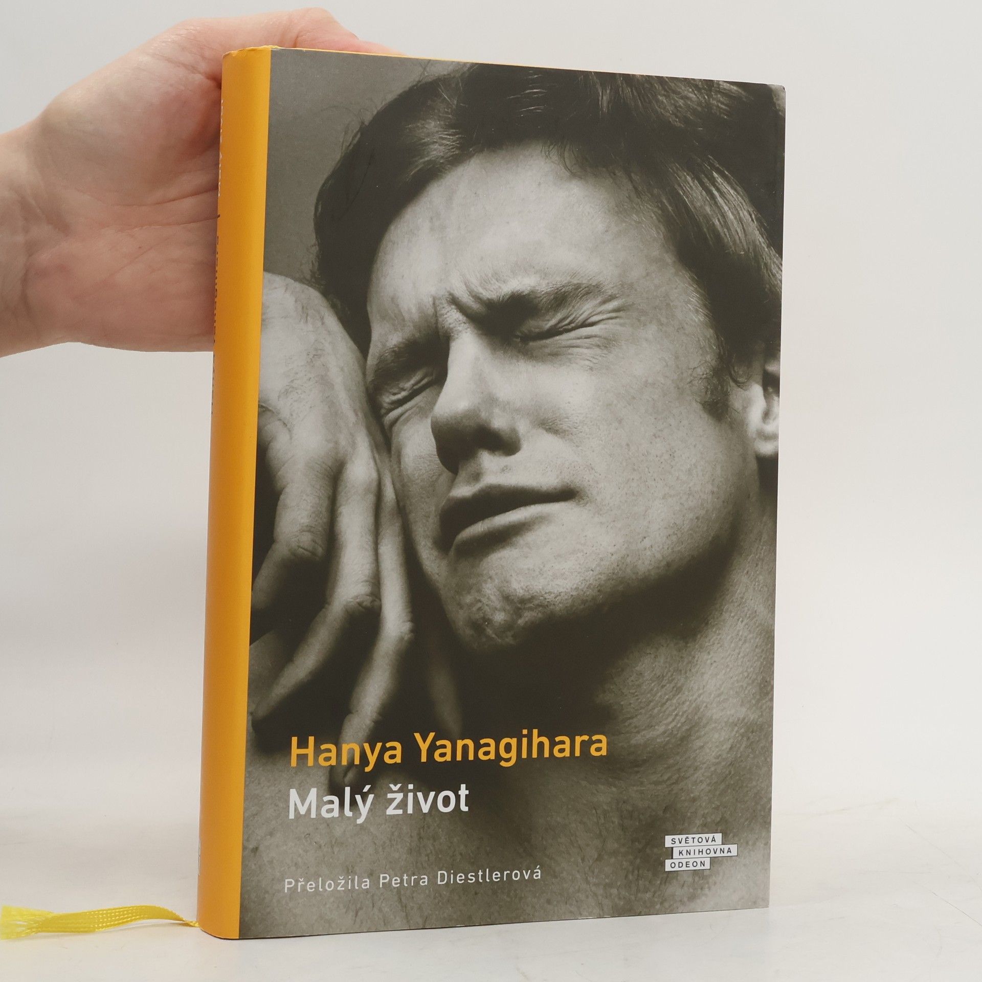 Hanya Yanagihara Malý život