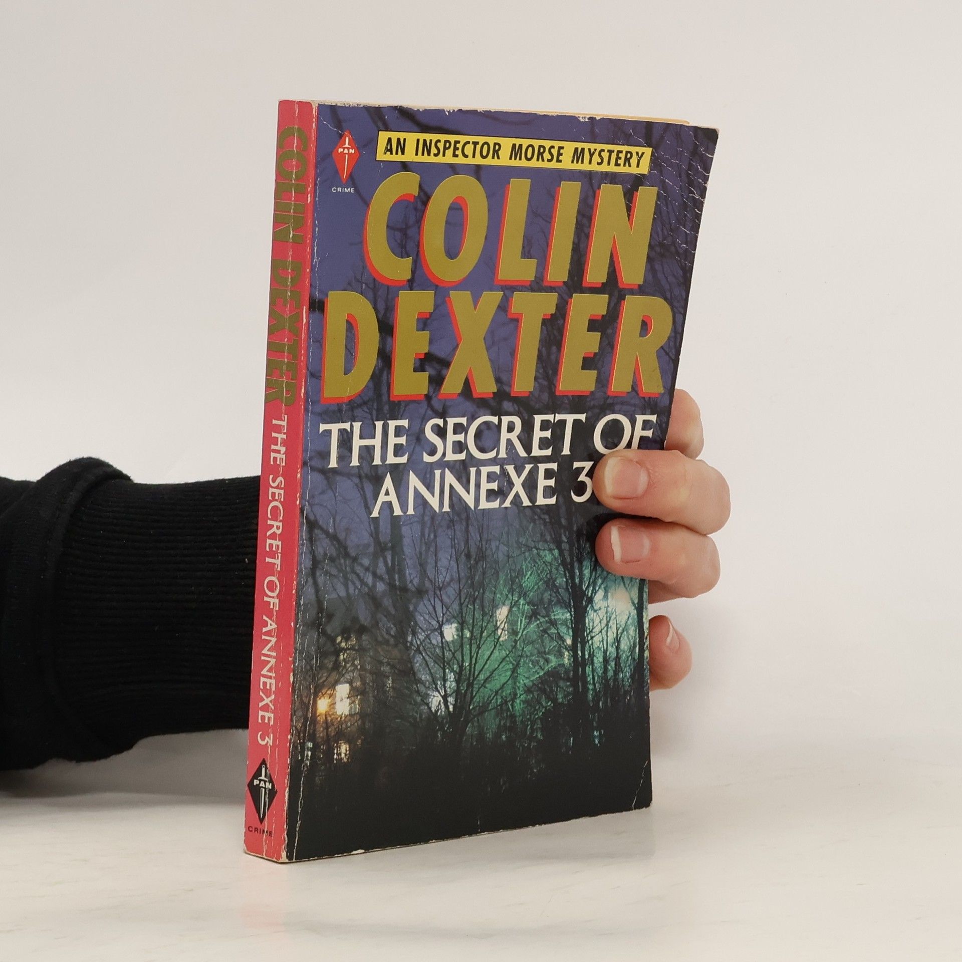 The Secret of Annexe 3 (Pan crime)