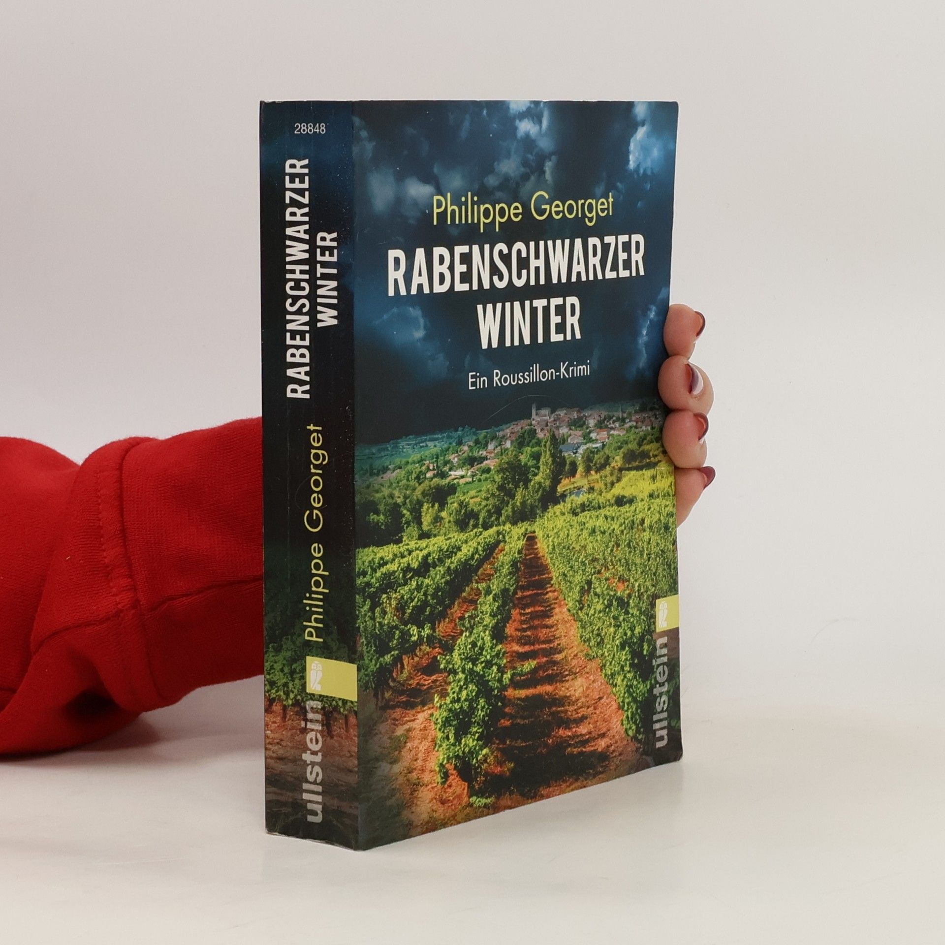 Rabenschwarzer Winter