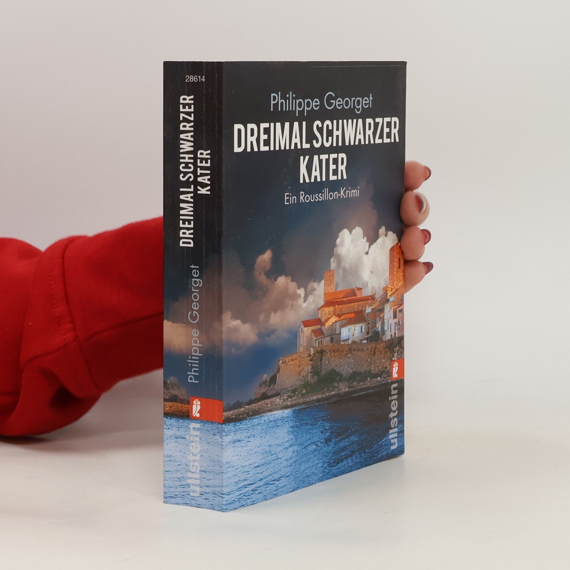 Philippe Georget Dreimal schwarzer Kater