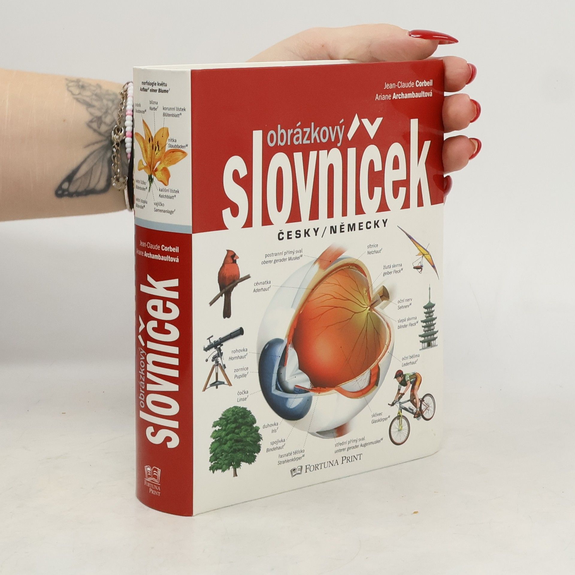 Jean-Claude Corbeil Obrázkový slovníček česky/německy