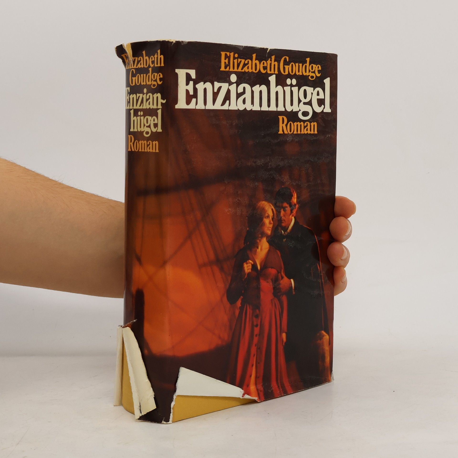 Elizabeth Goudge Enzianhügel