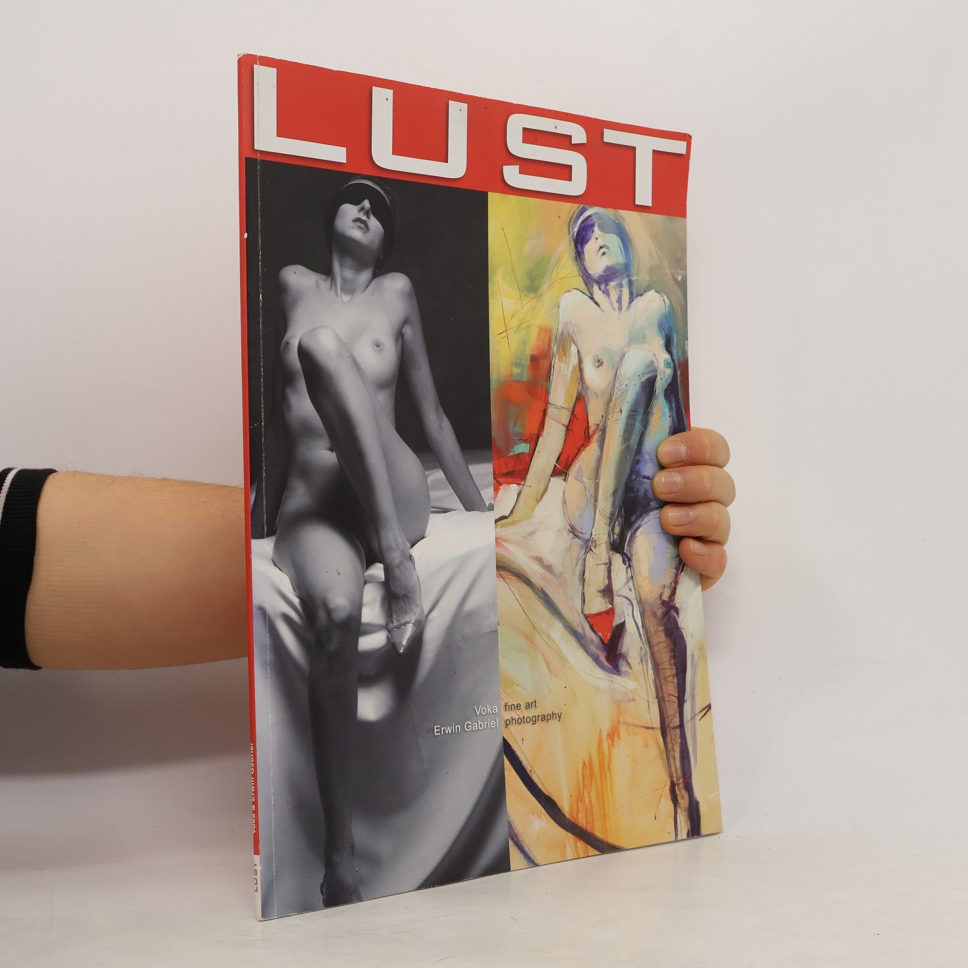 Puchberg Galerie Voka Lust