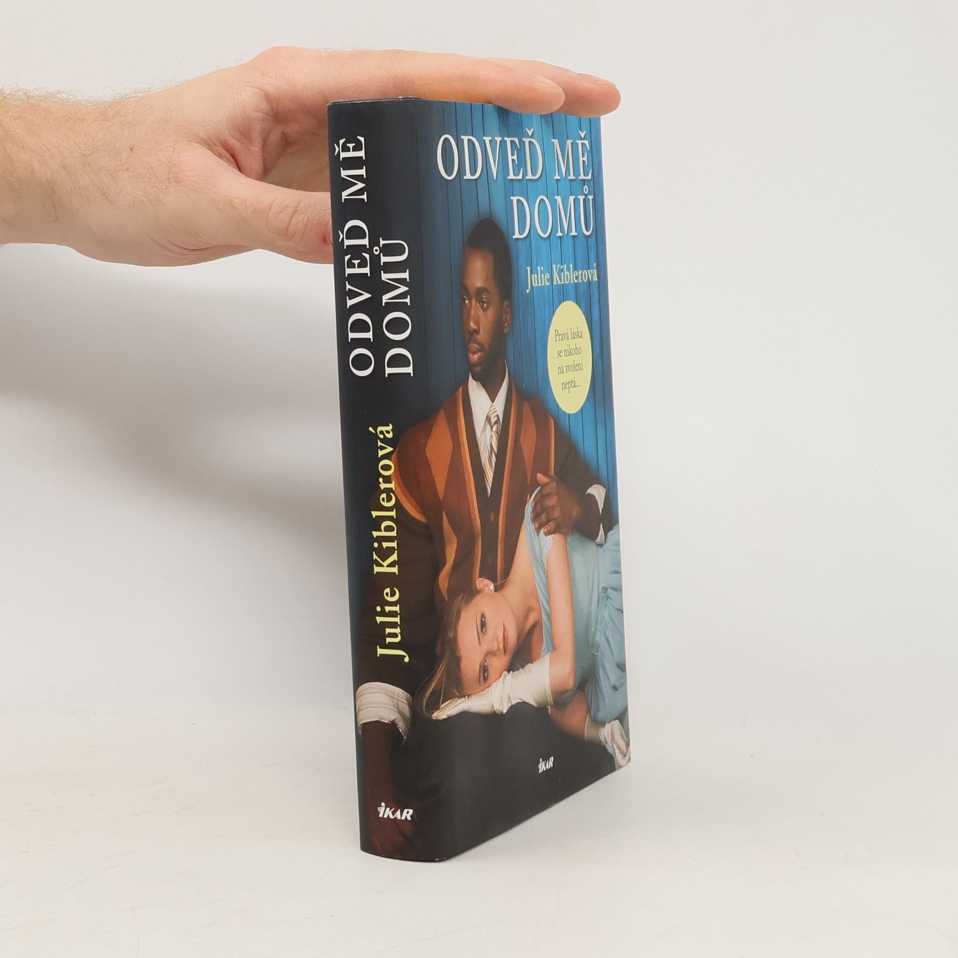 Julie Kibler Odveď mě domů