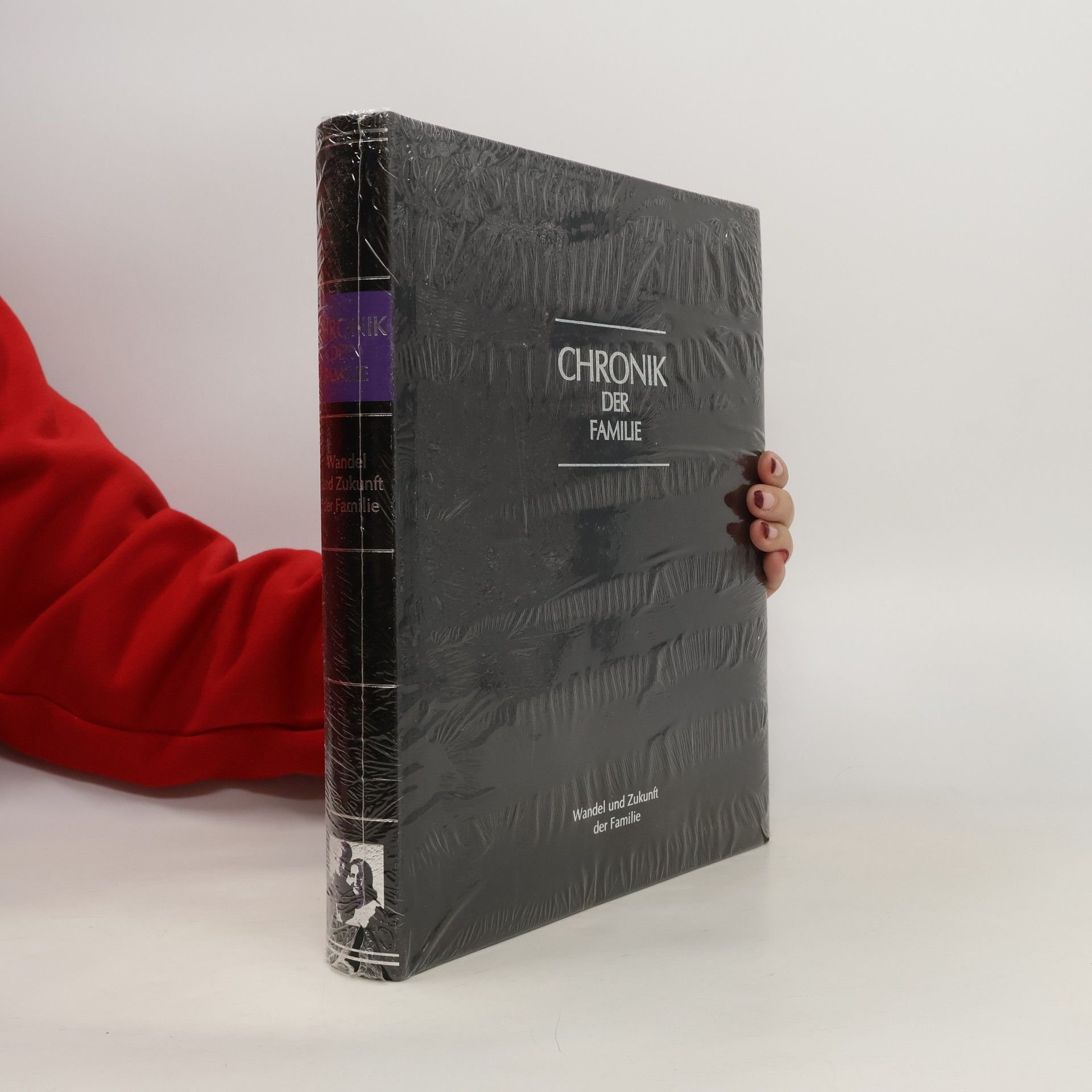 Collectif d'auteurs Chronik der Familie. Wandel und Zukunft der Familie