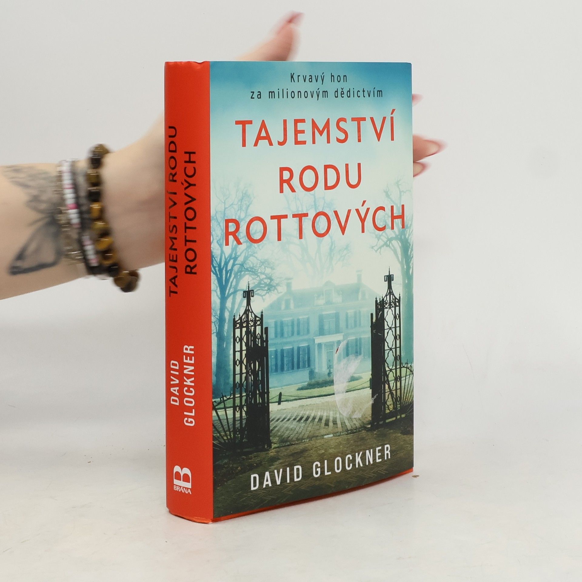 David Glockner Tajemství rodu Rottových