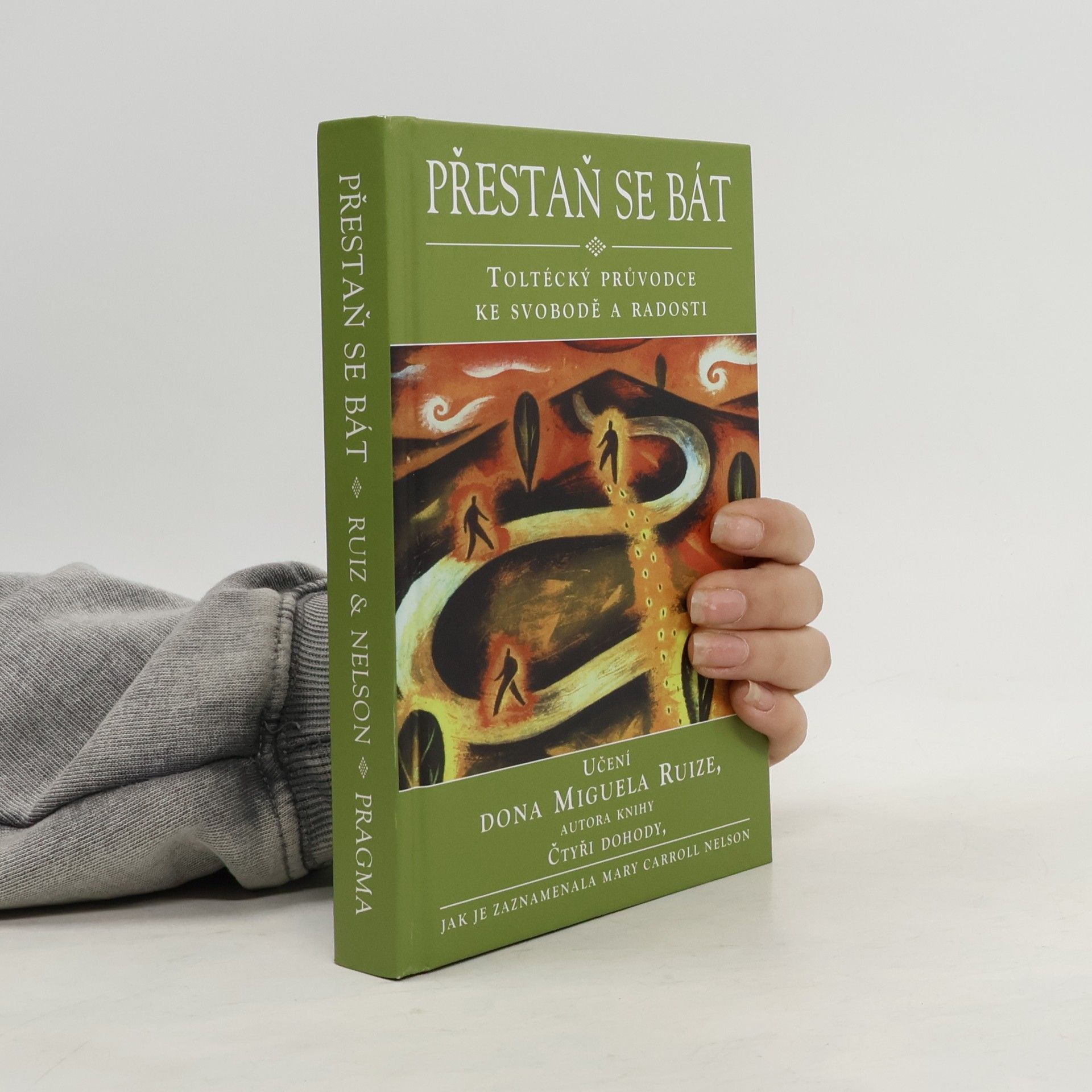 Mary Carroll Nelson Přestaň se bát