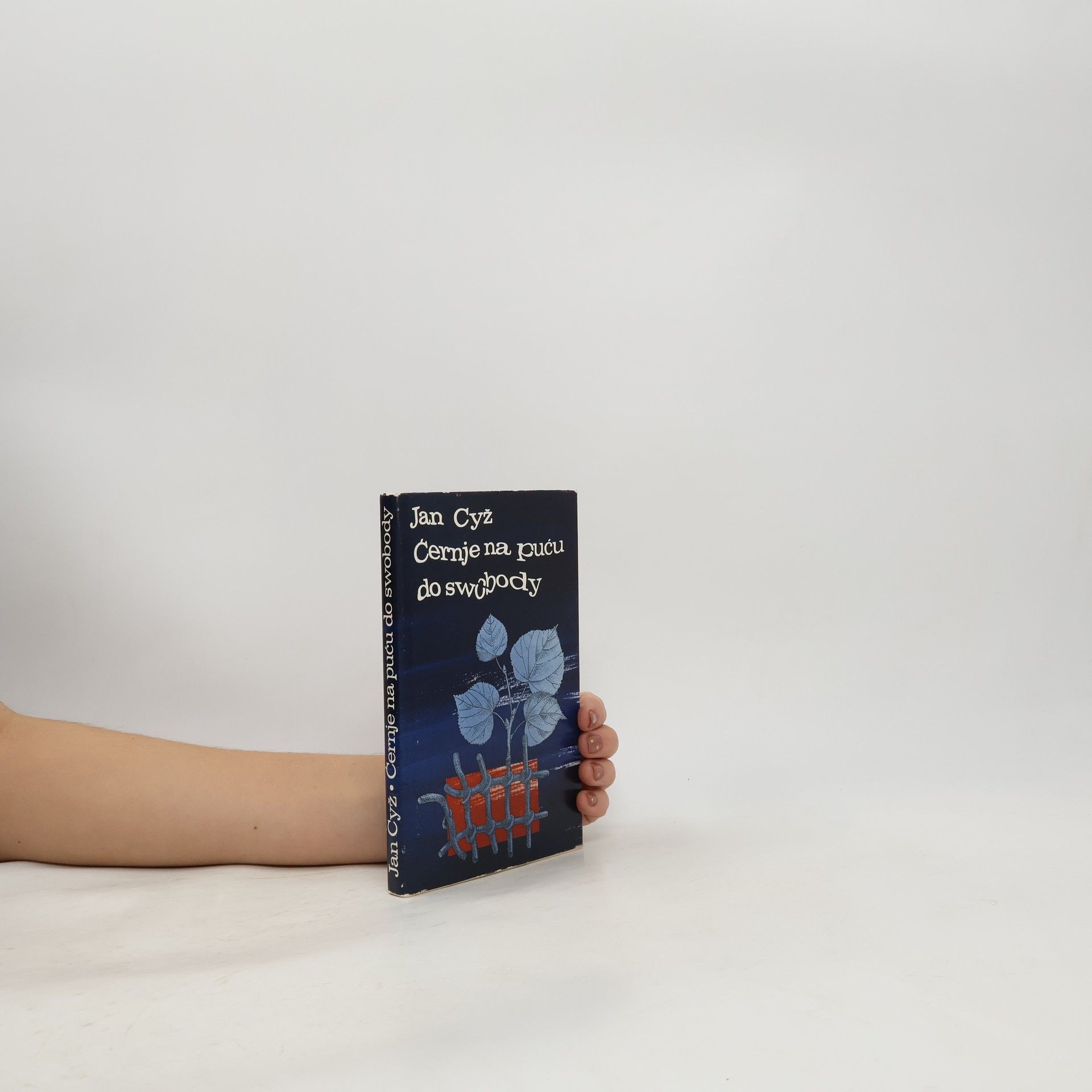 Jan Cyž Ćernje na puću do swobody