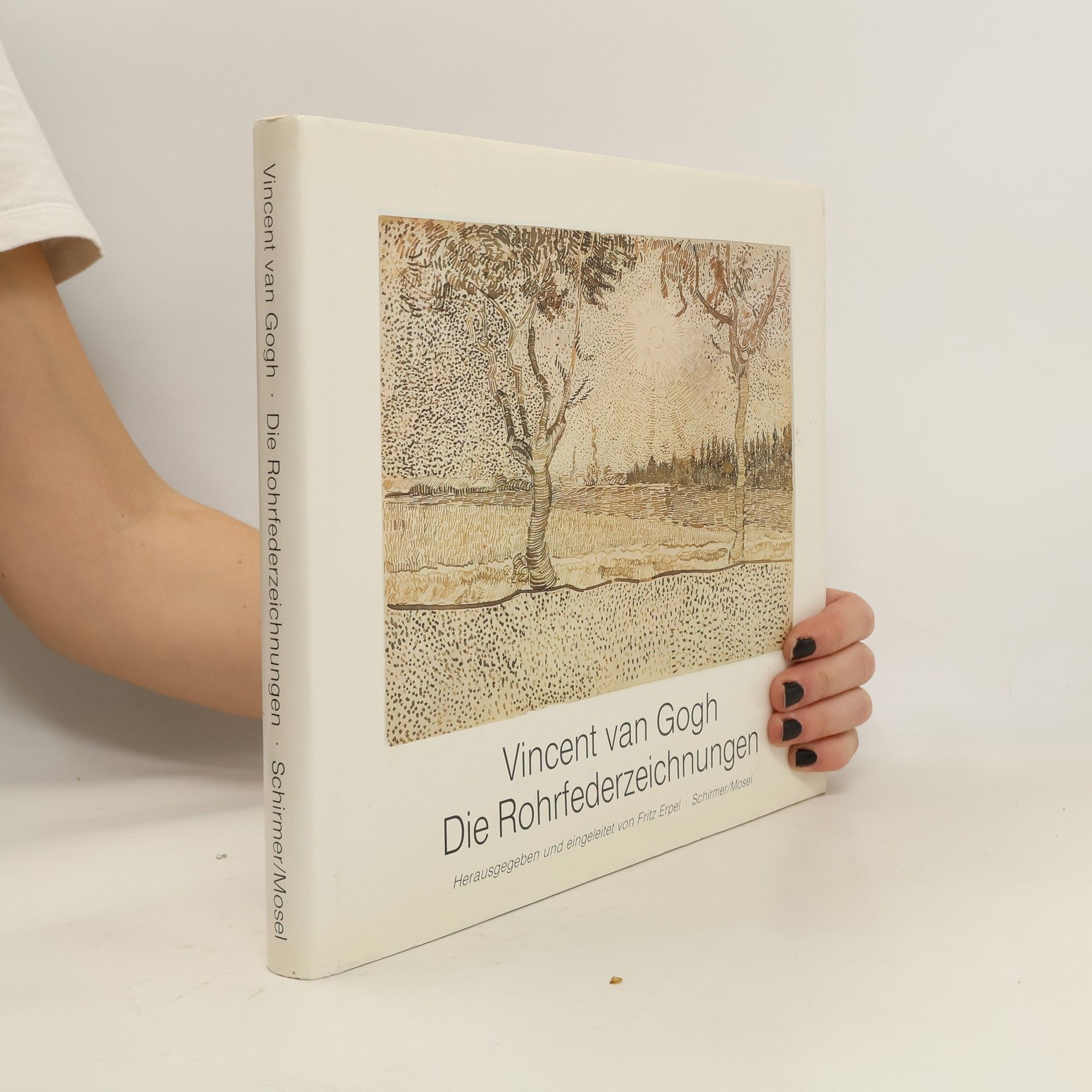 Vincent van Gogh Die Rohrfederzeichnungen