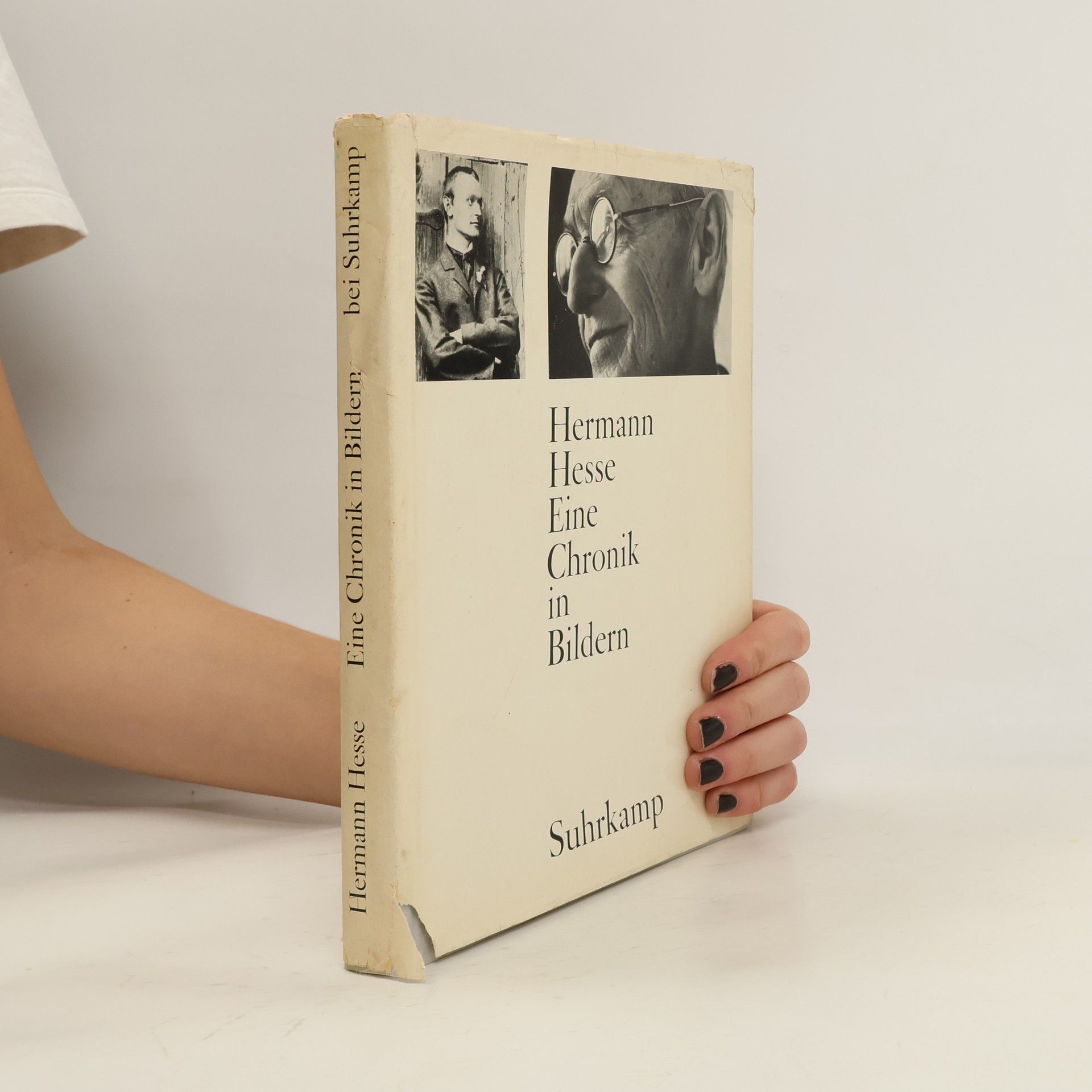 Hermann Hesse Eine Chronik in Bildern