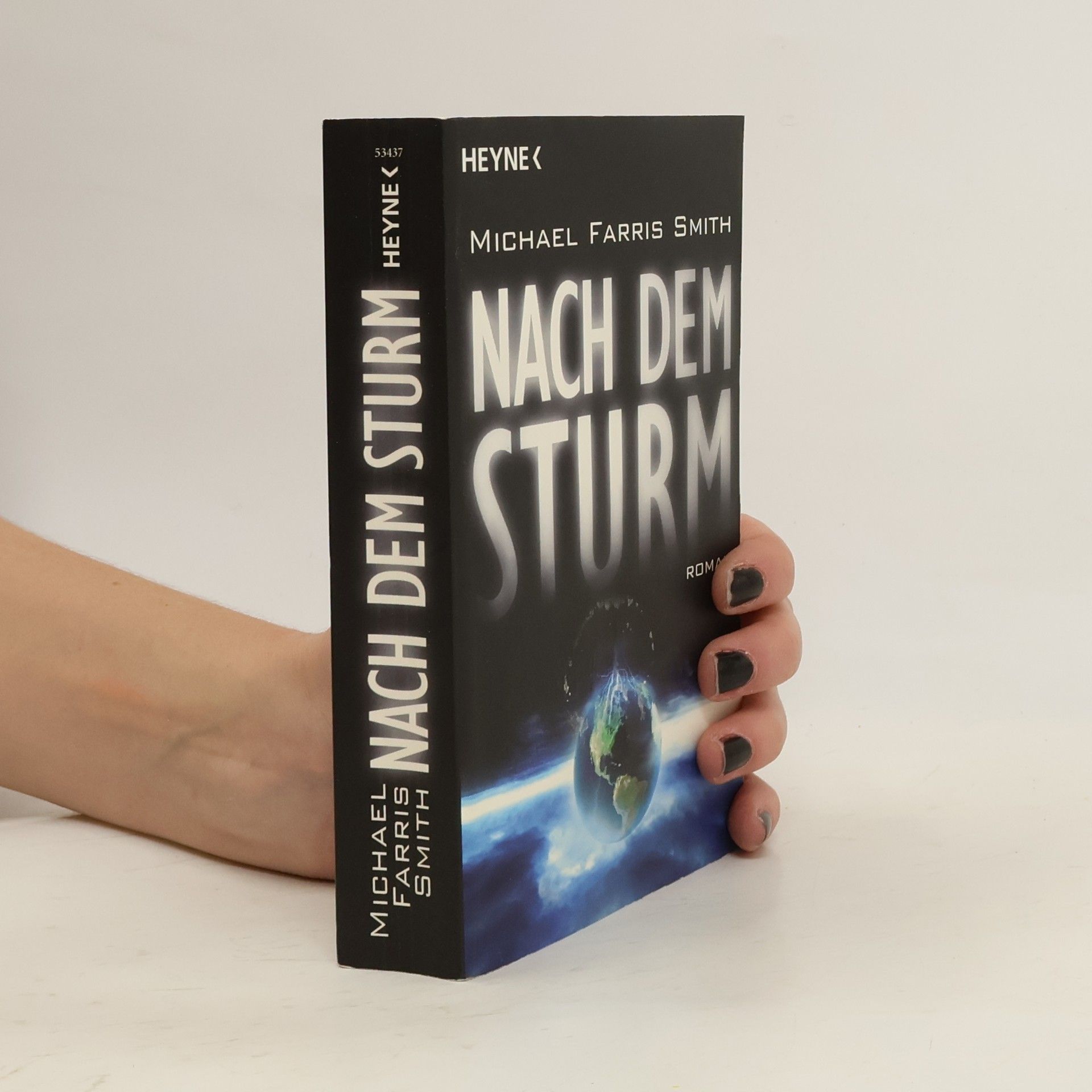 Michael Farris Smith Nach dem Sturm. Roman