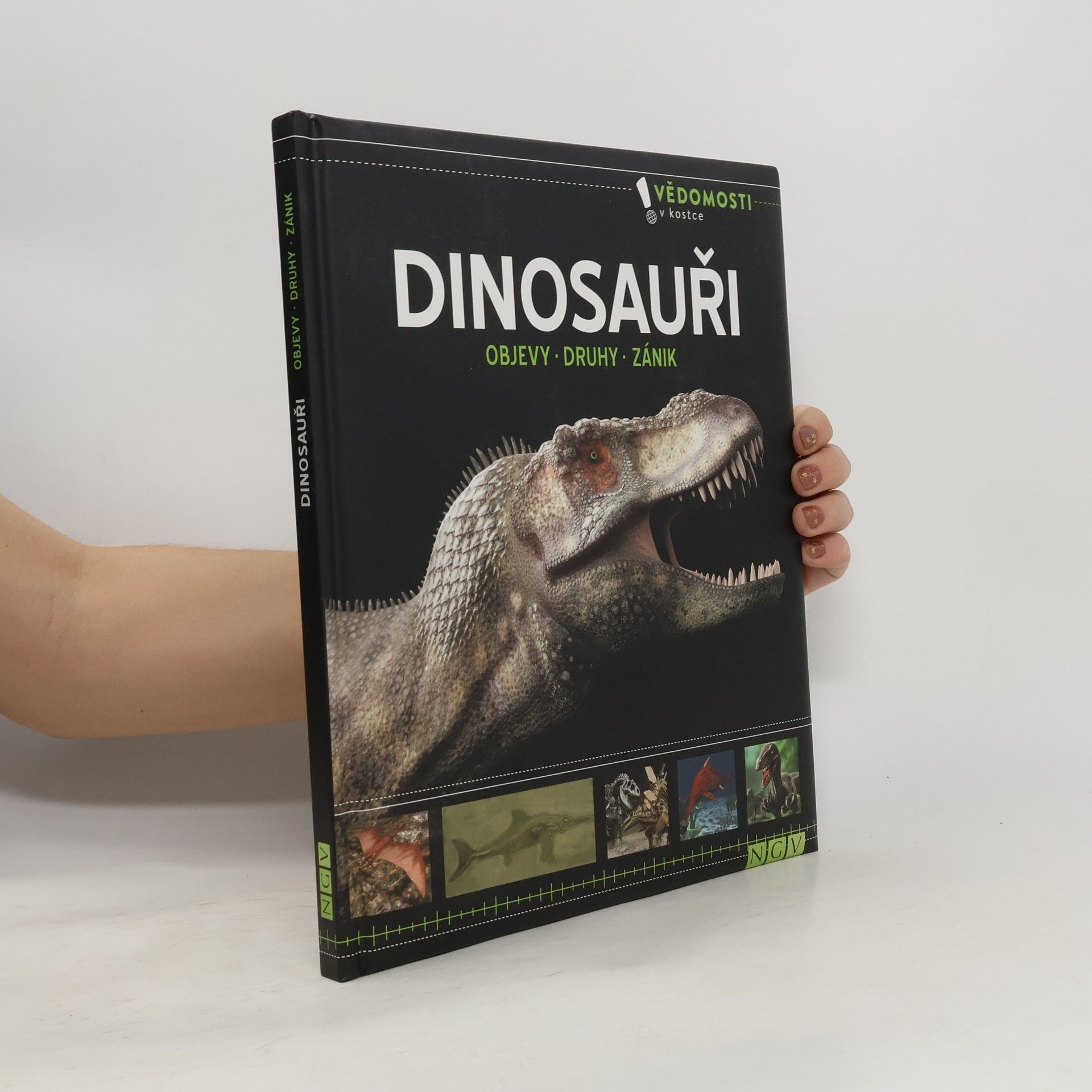 Kolektiv autorů Dinosauři