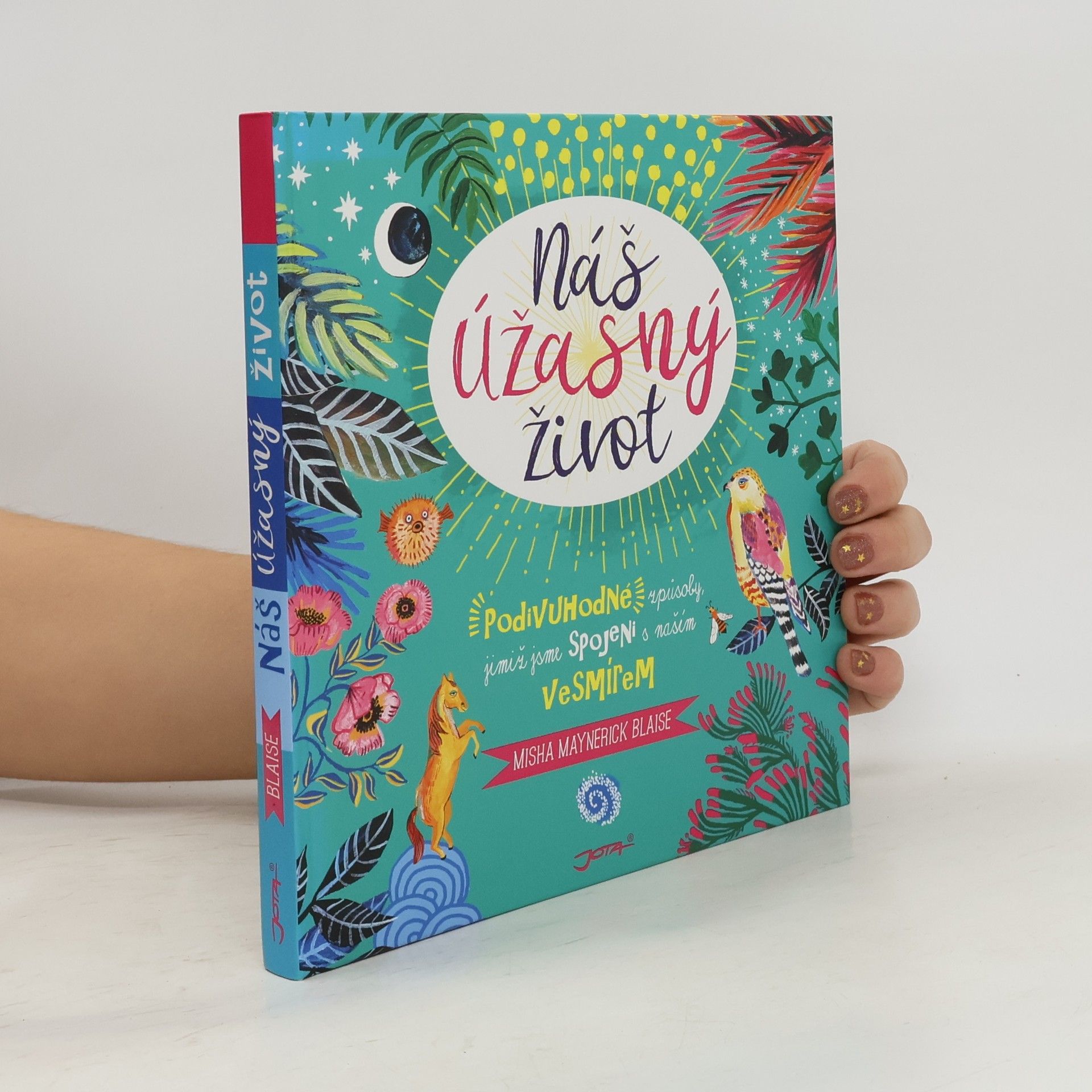 Misha Maynerick Blaise Náš úžasný život