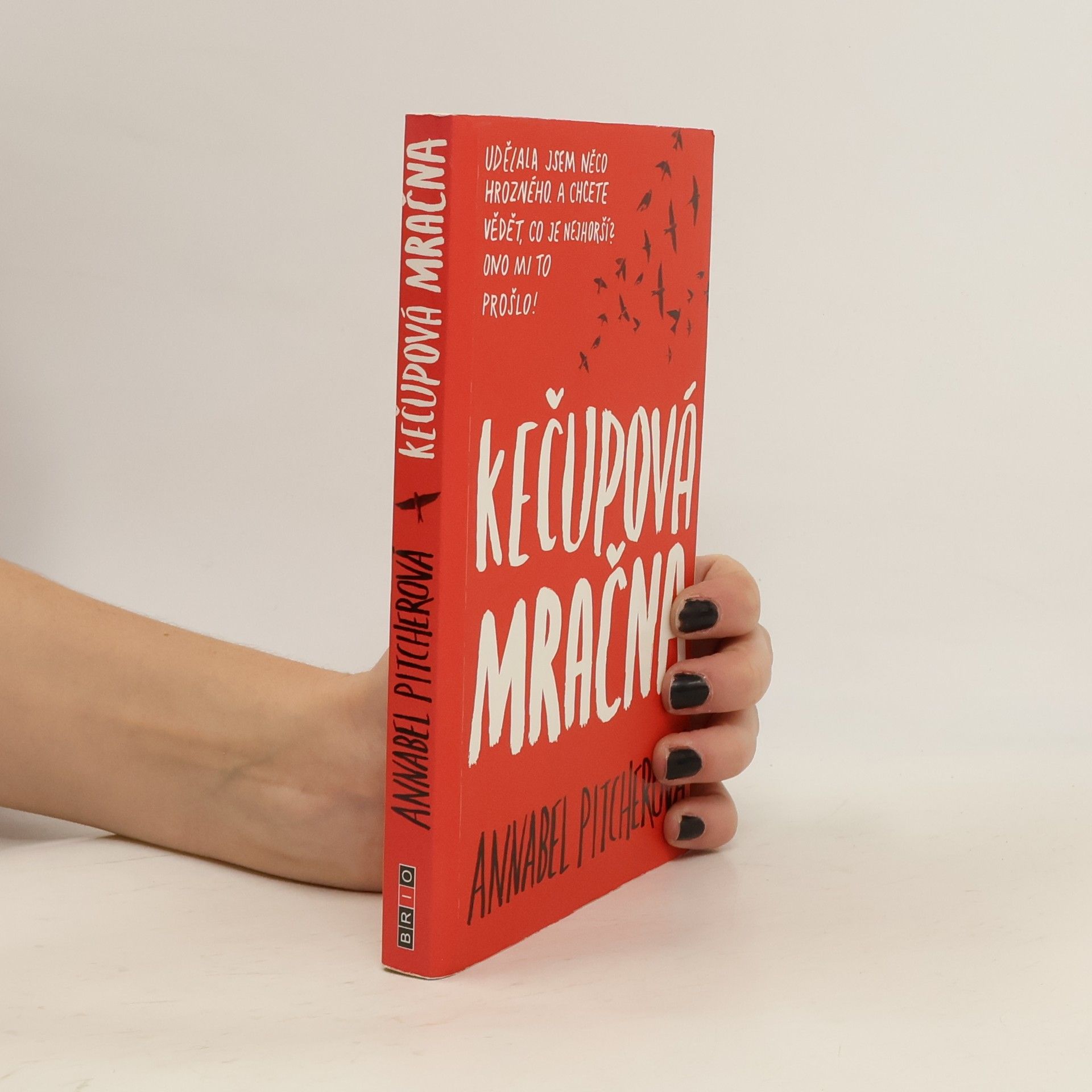 Annabel Pitcher Kečupová mračna