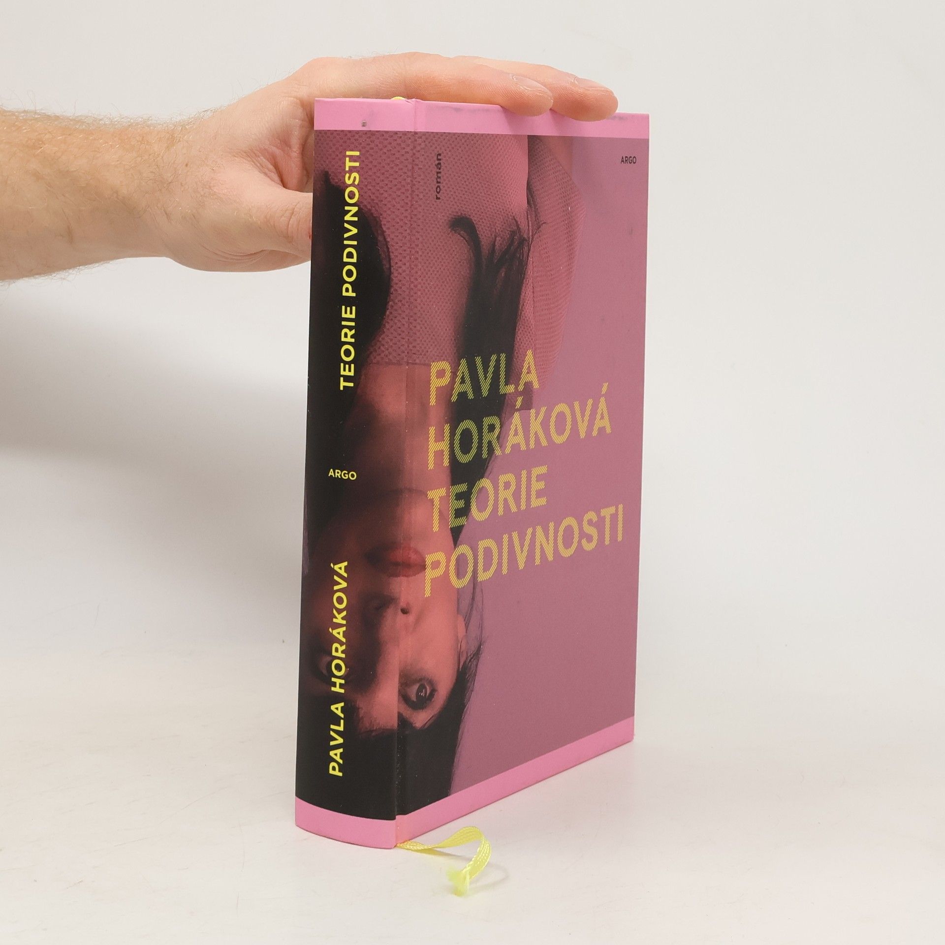 Pavla Horáková Teorie podivnosti