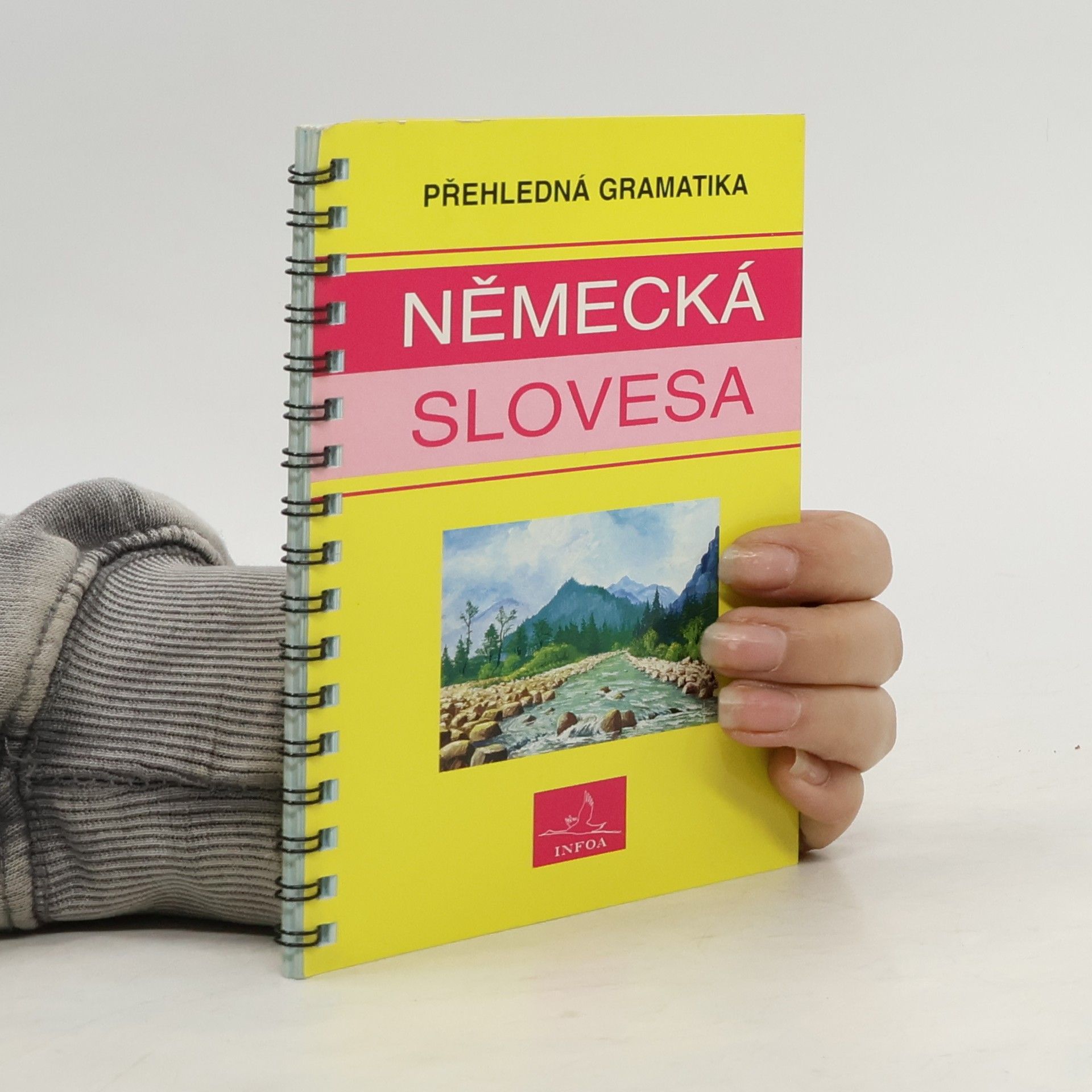 Various authors Německá slovesa : přehledná gramatika