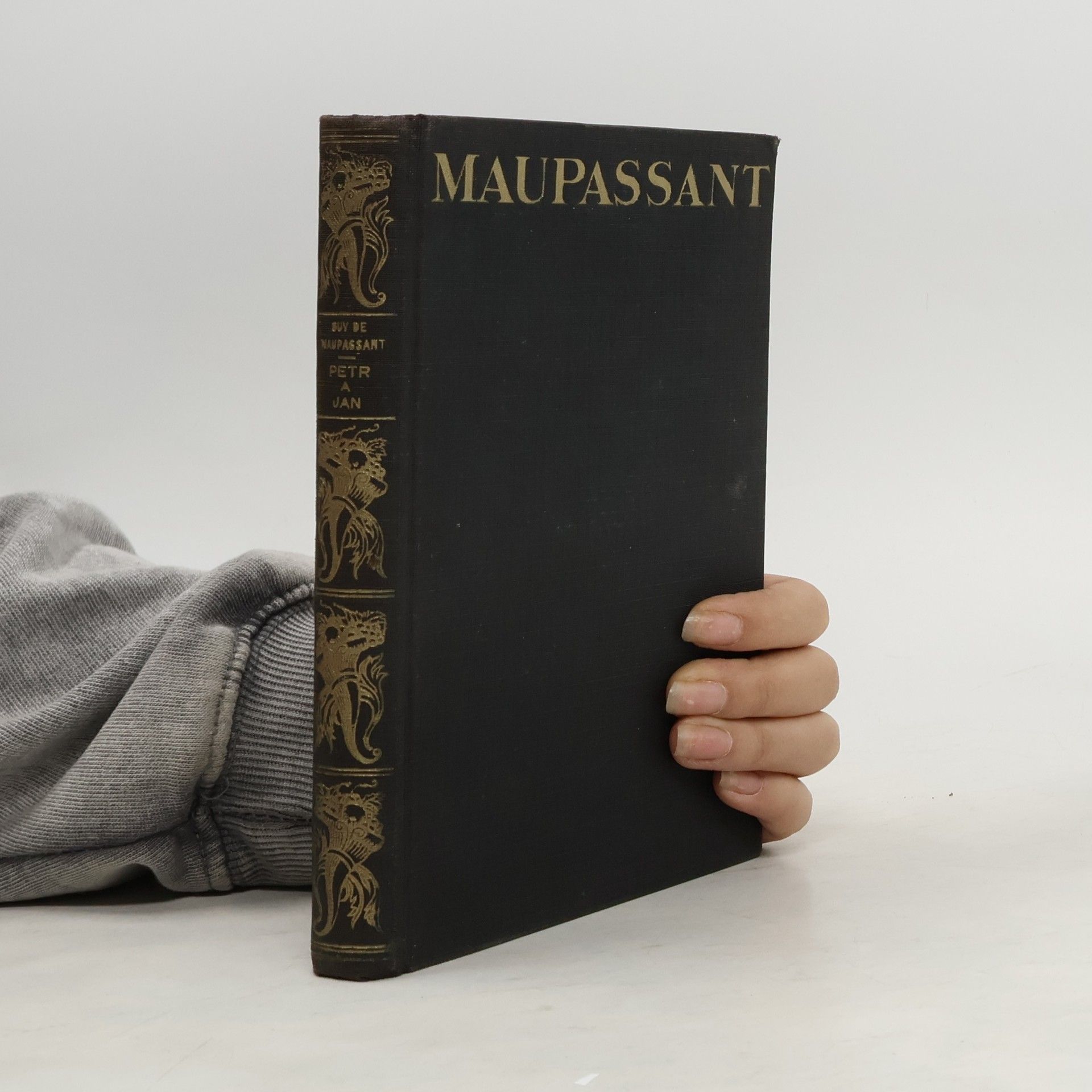 Guy de Maupassant Petr a Jan. Salon paní Tellierové II.