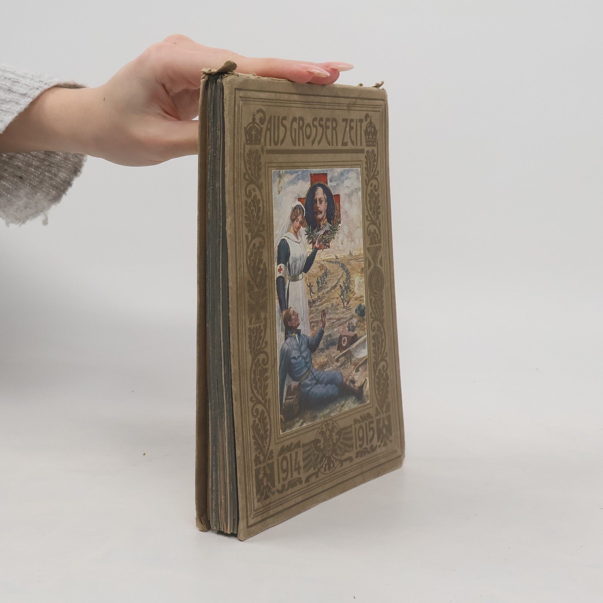 Theodor Gross Aus großer Zeit: Zwei Jahre Weltkrieg 1914-1916