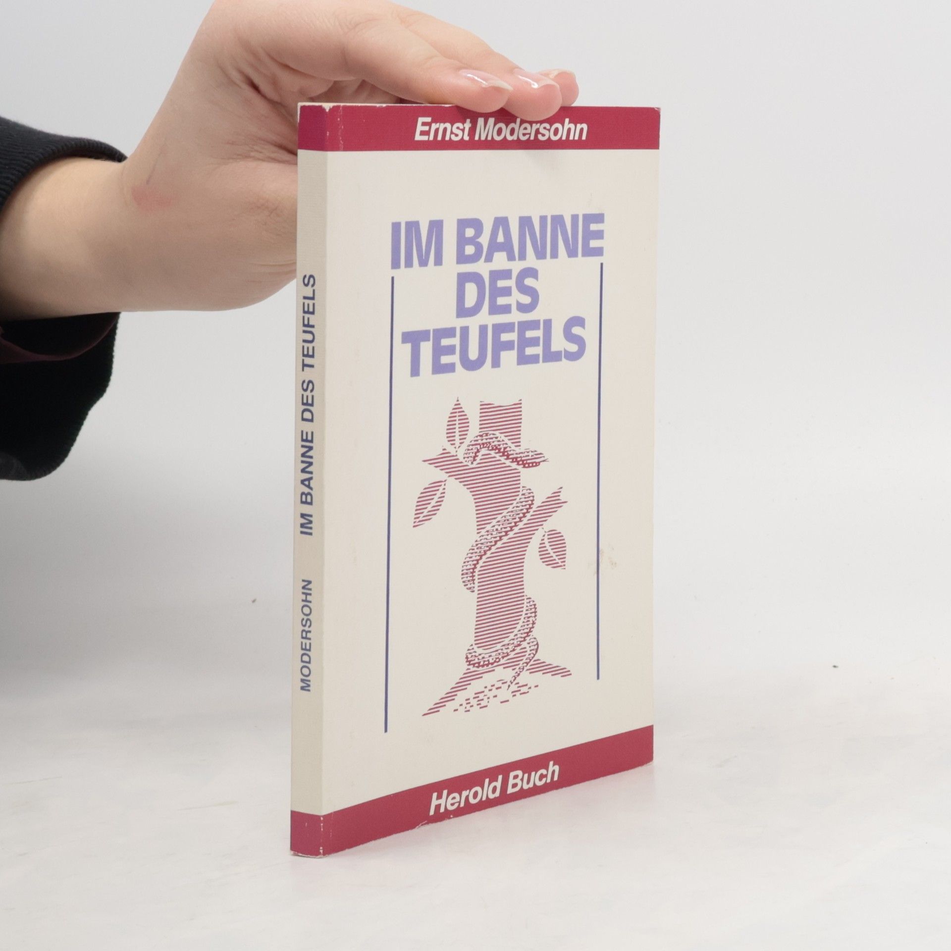 Ernst Modersohn Im Banne des Teufels