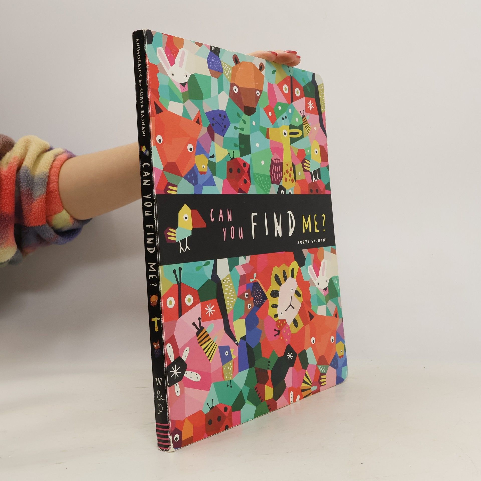 Surya Sajnani Can You Find Me?