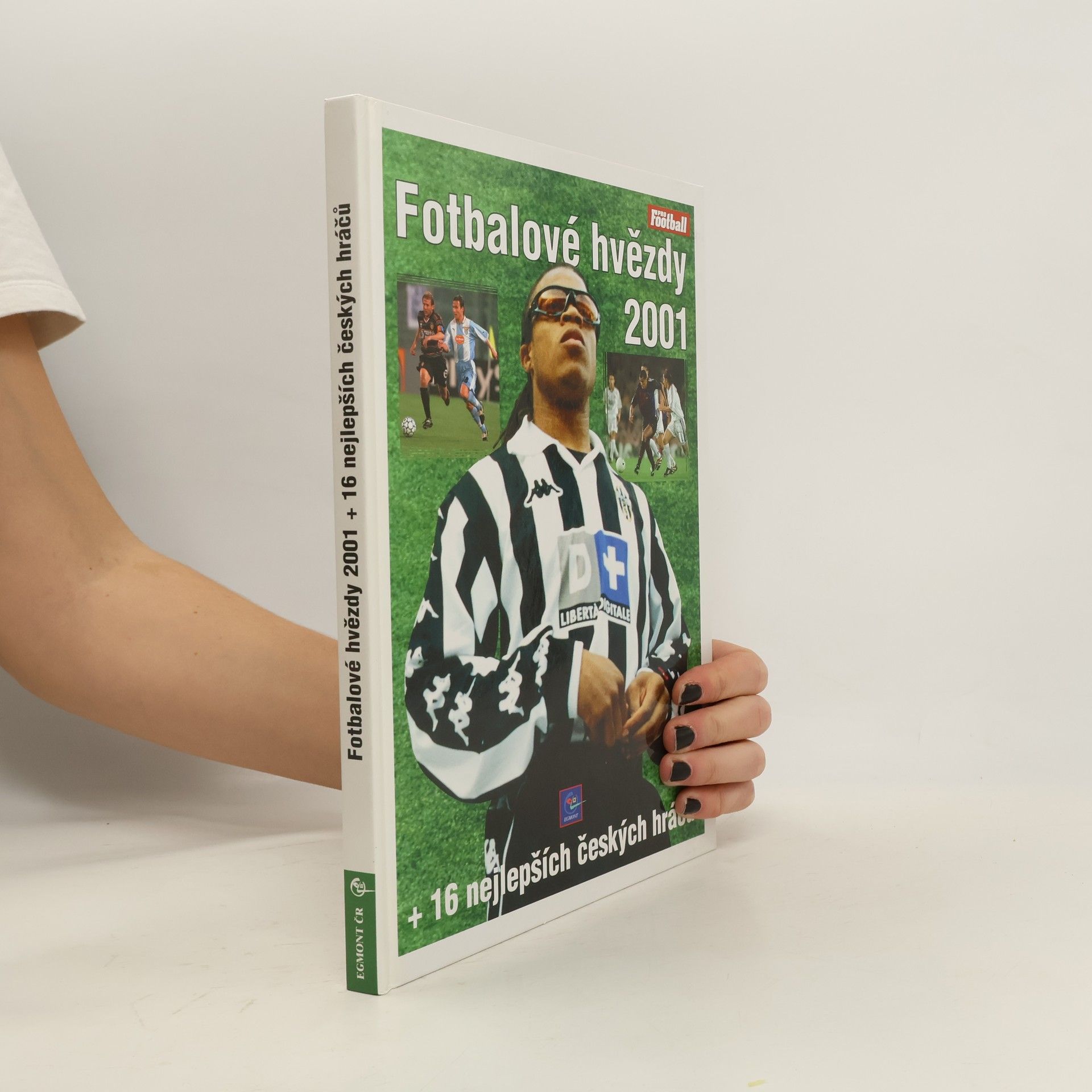 Fotbalové hvězdy 2001