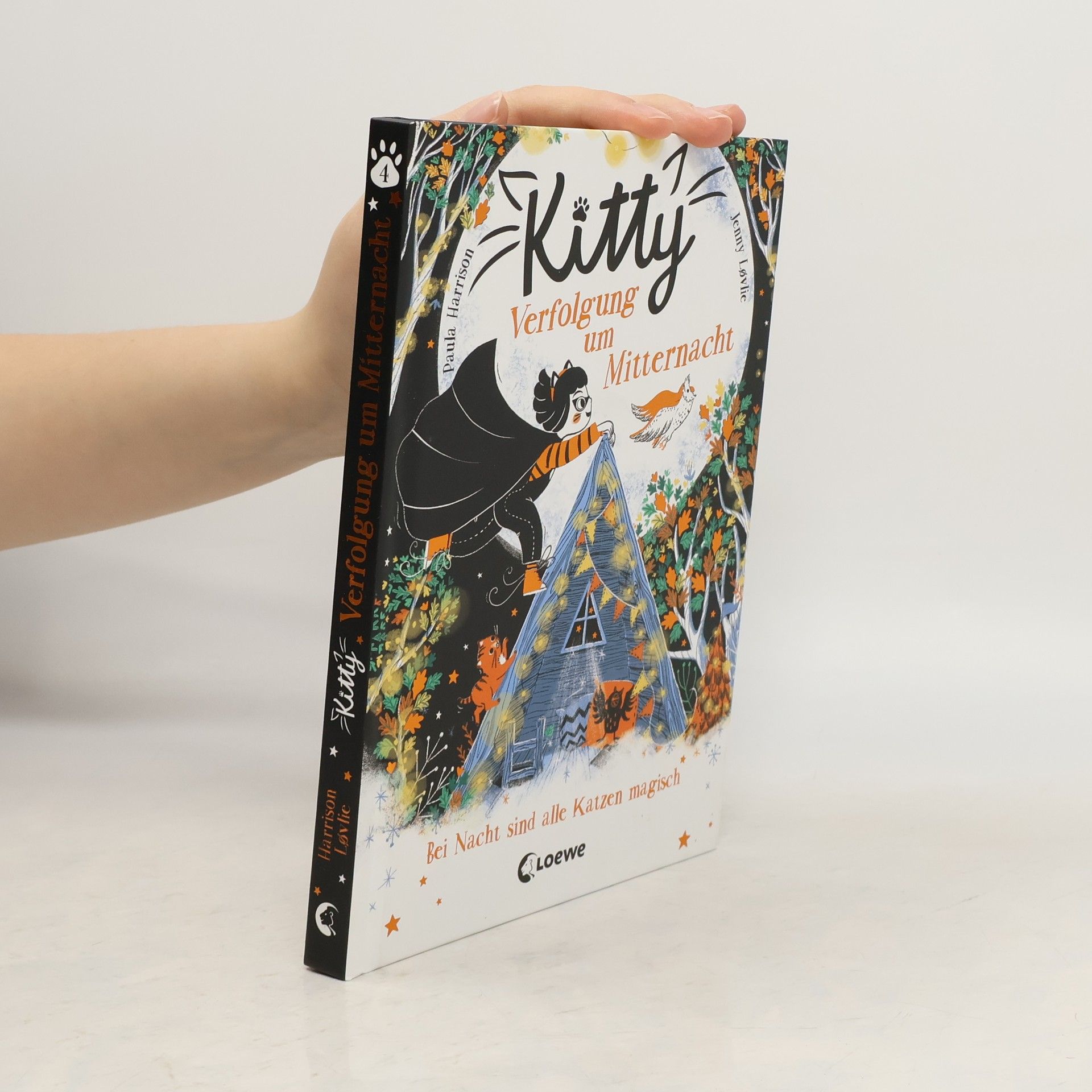 Paula Harrison Kitty (Band 4) - Verfolgung um Mitternacht
