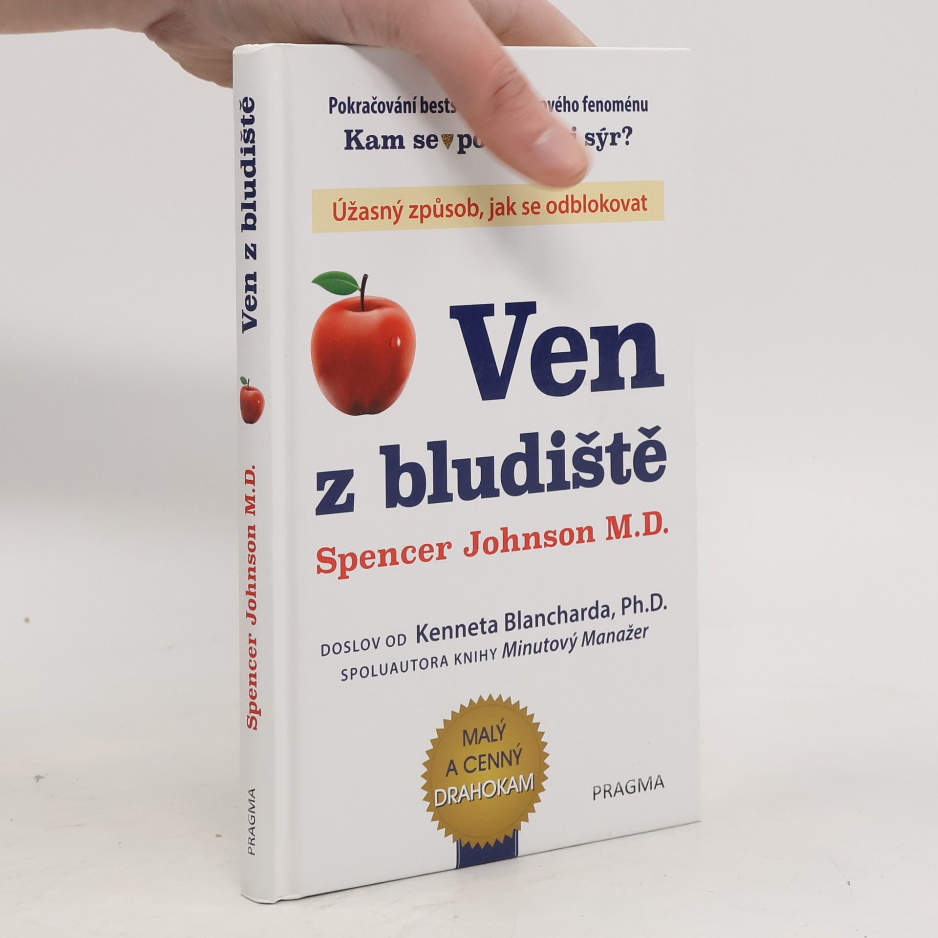 Patrick Spencer Johnson Ven z bludiště