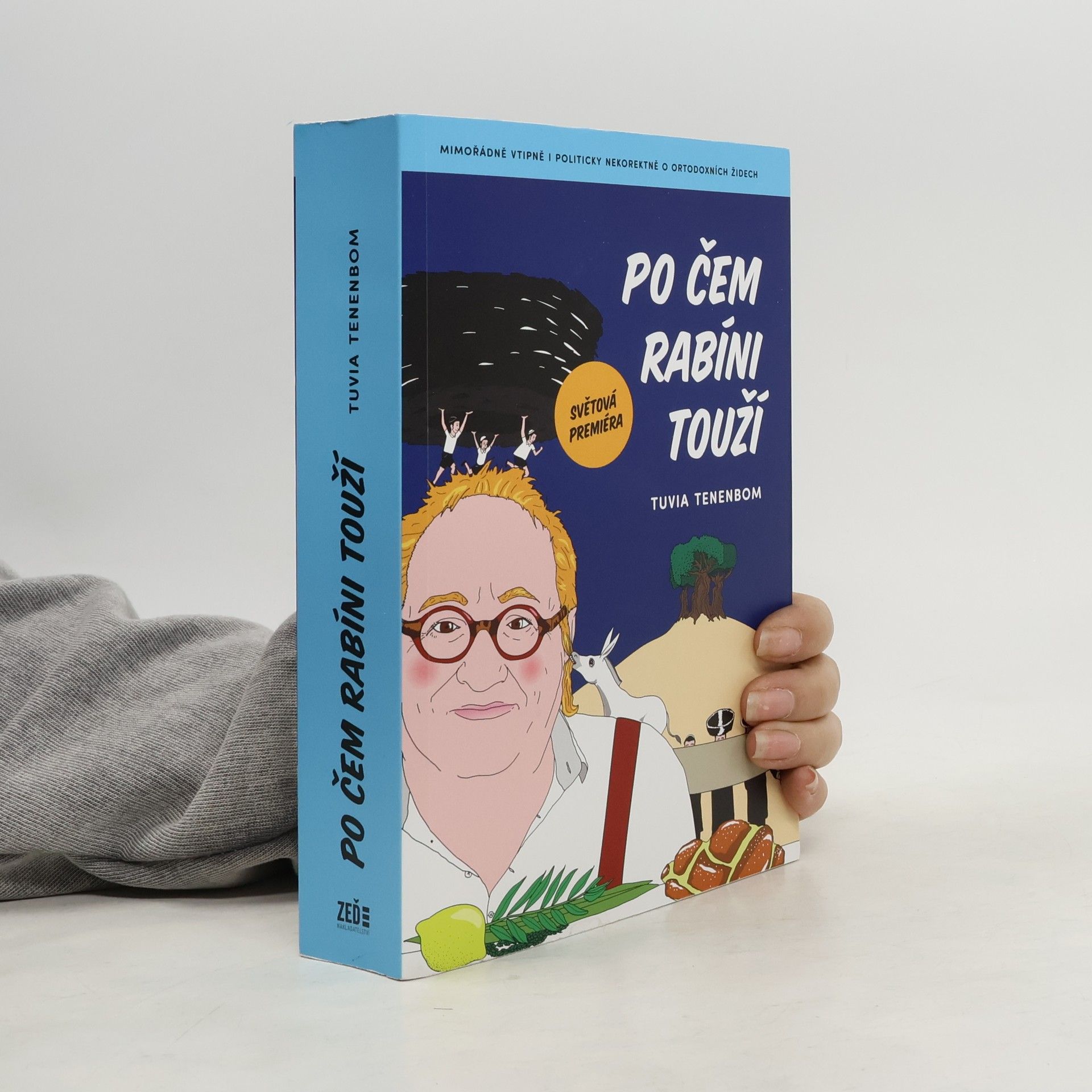 Po čem rabíni touží : mimořádně vtipná i politicky nekorektní zpráva o ortodoxních Židech