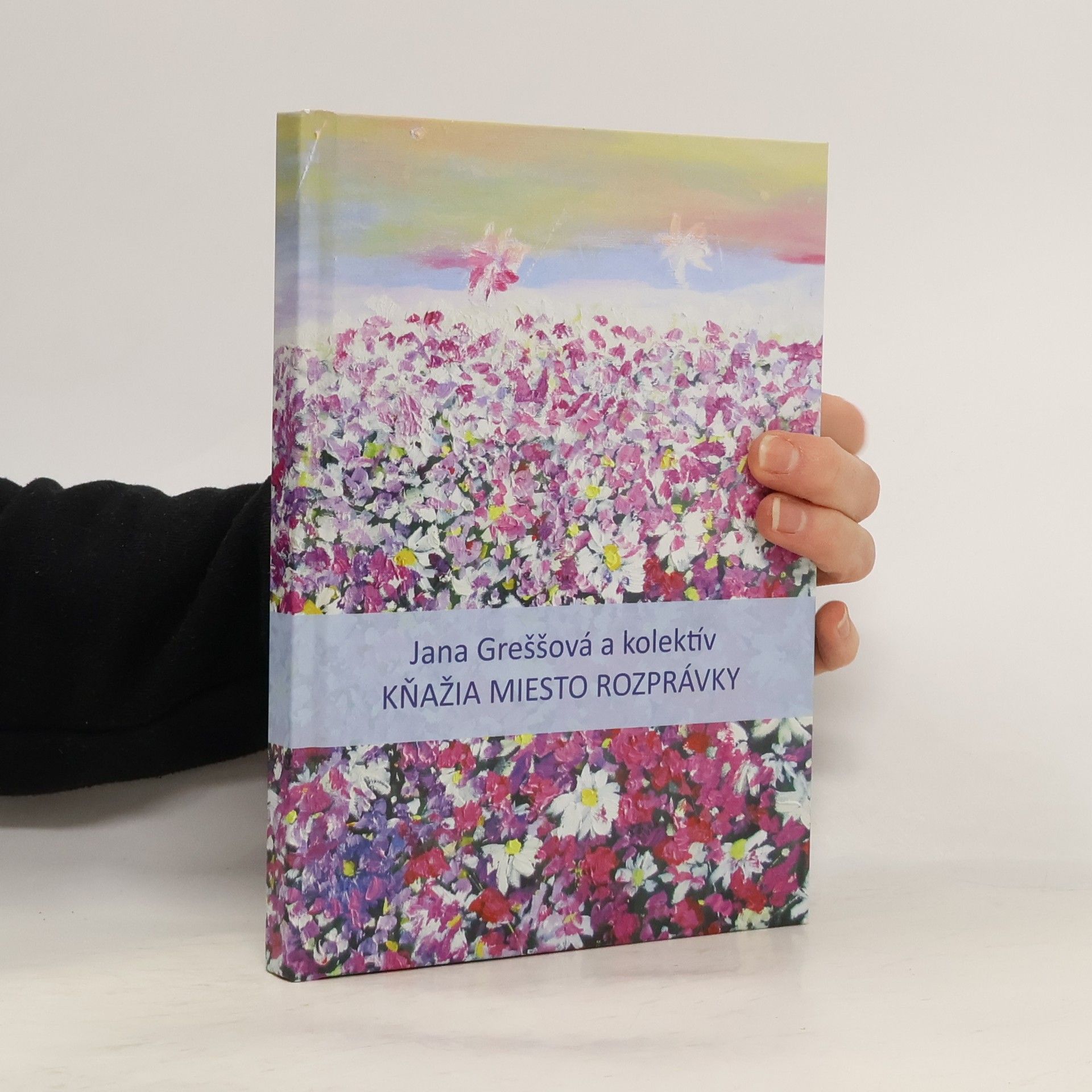 Jana Greššová Kňažia miesto rozprávky