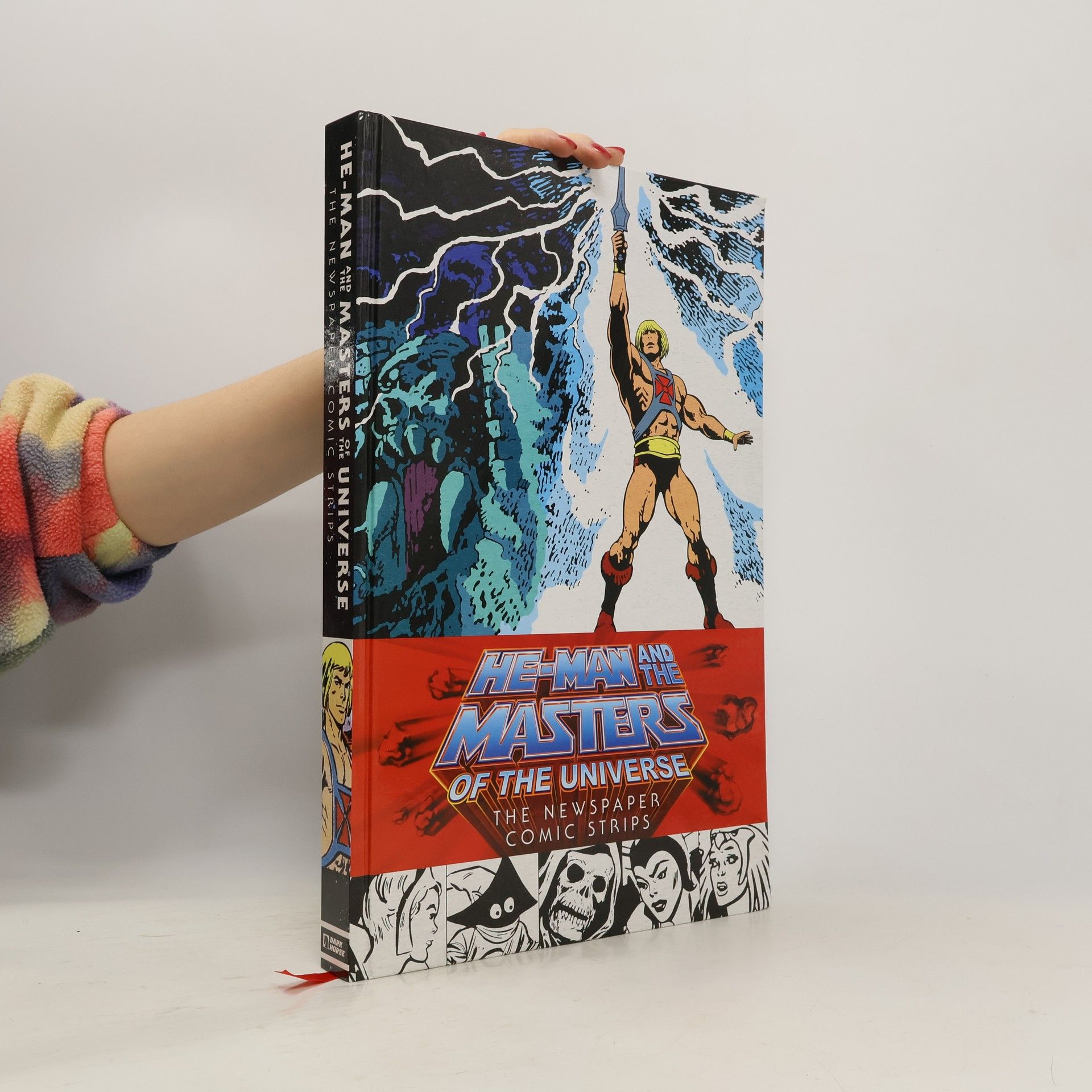 James Shull He-Man and the Masters of the Universe