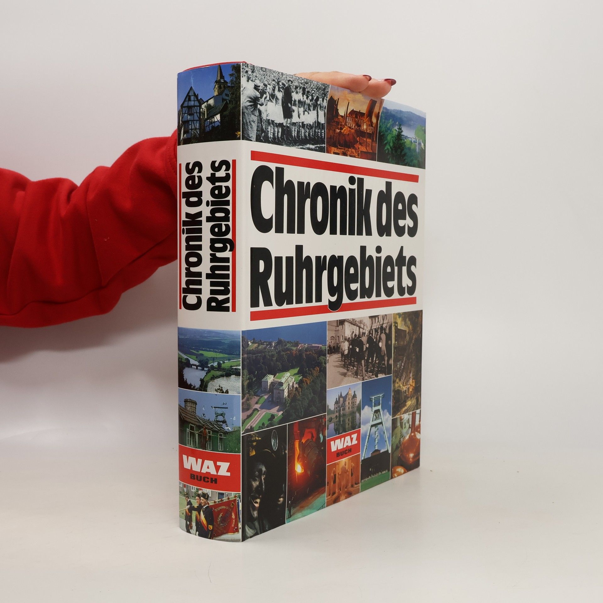 Bodo Harenberg Chronik des Ruhrgebiets