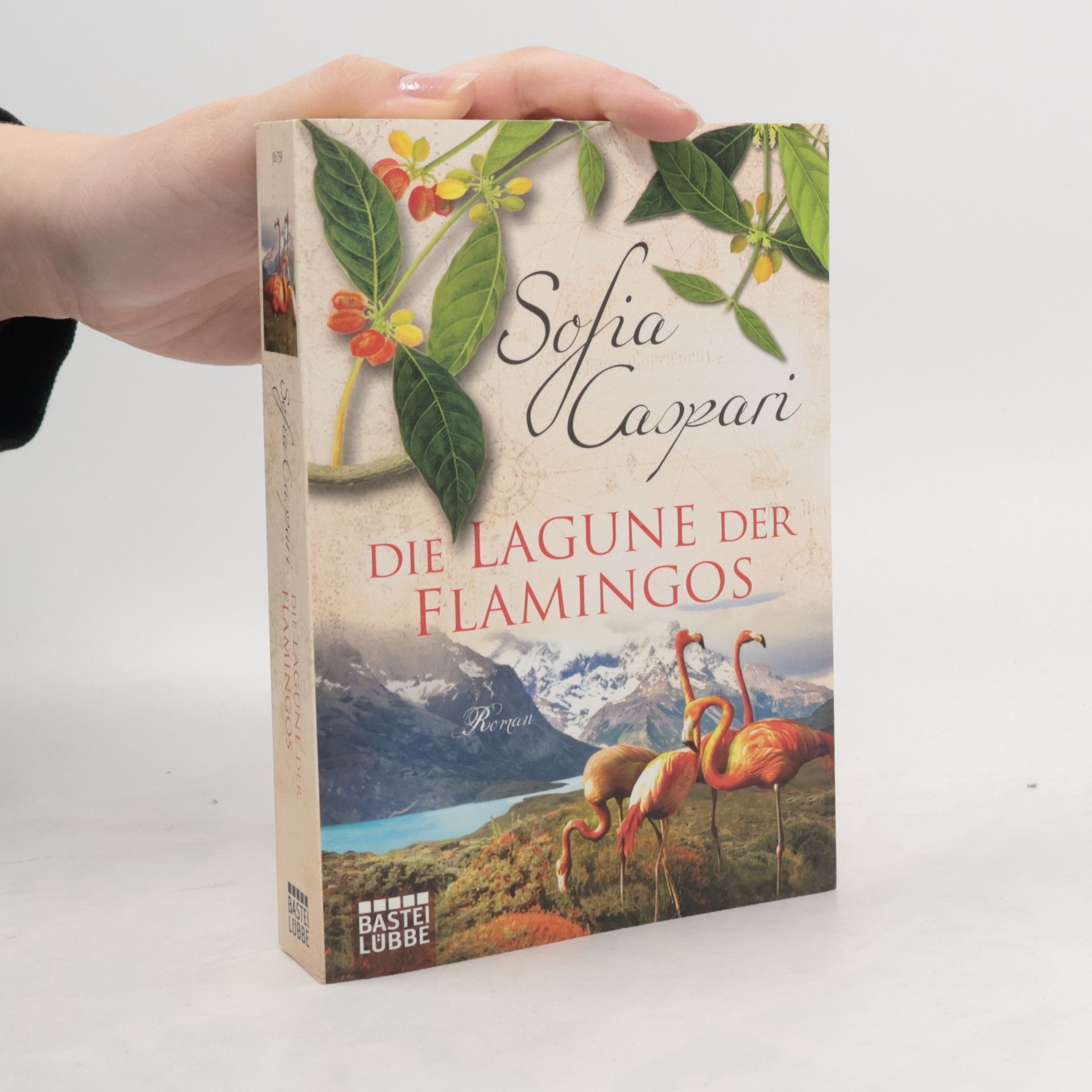 Sofia Caspari Die Lagune der Flamingos