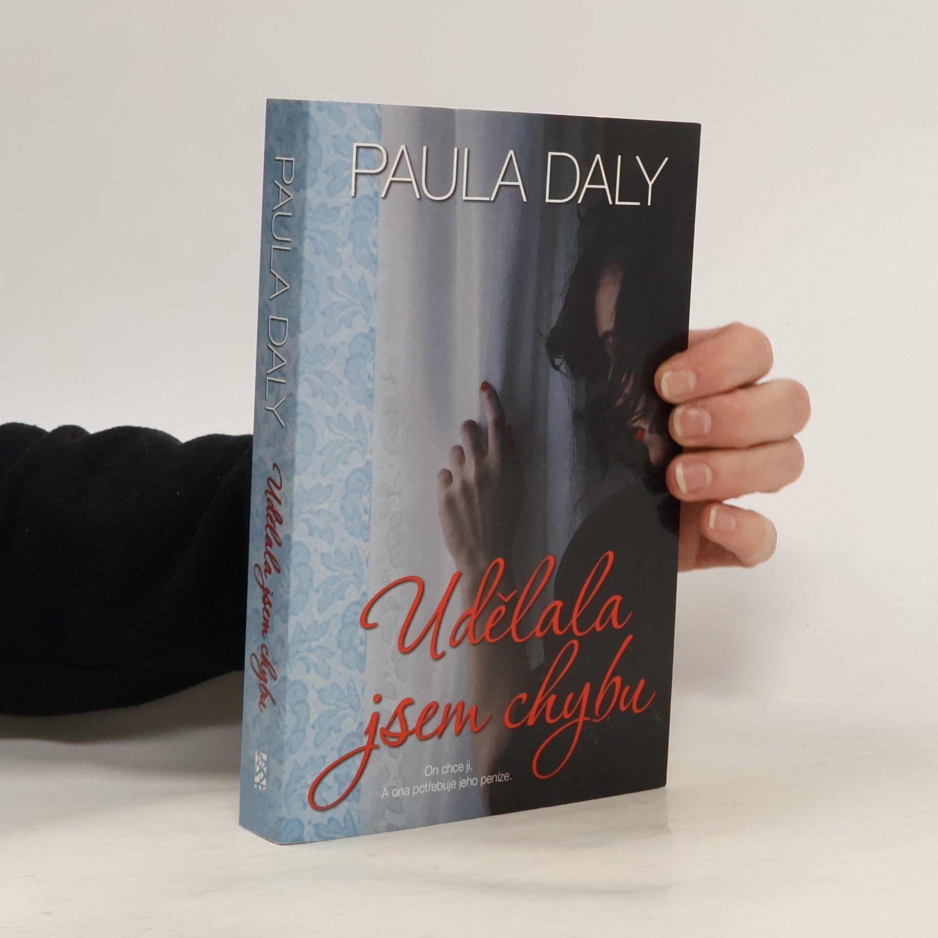 Paula Daly Udělala jsem chybu