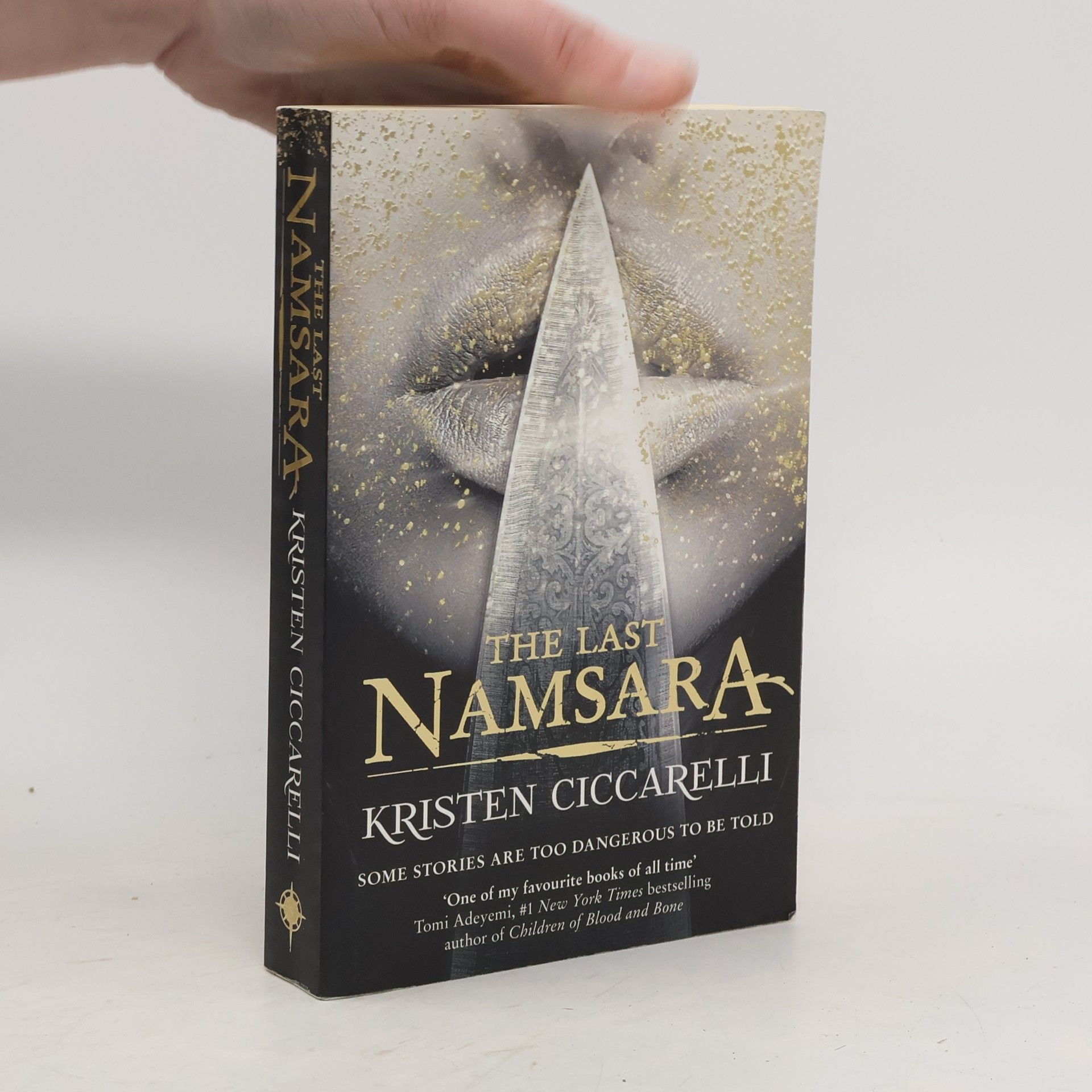 Kristen Ciccarelli The Last Namsara