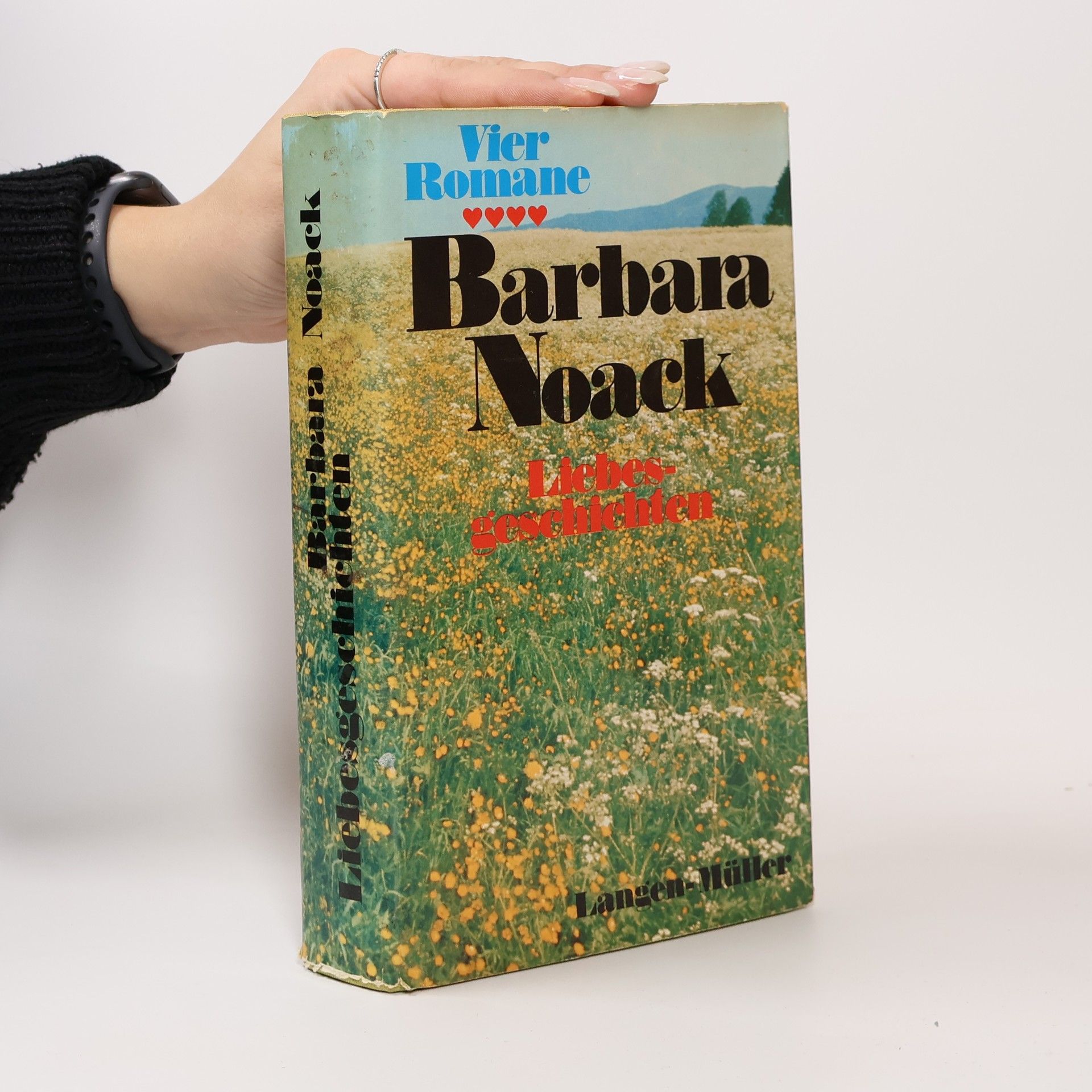 Barbara Noack Liebesgeschichten