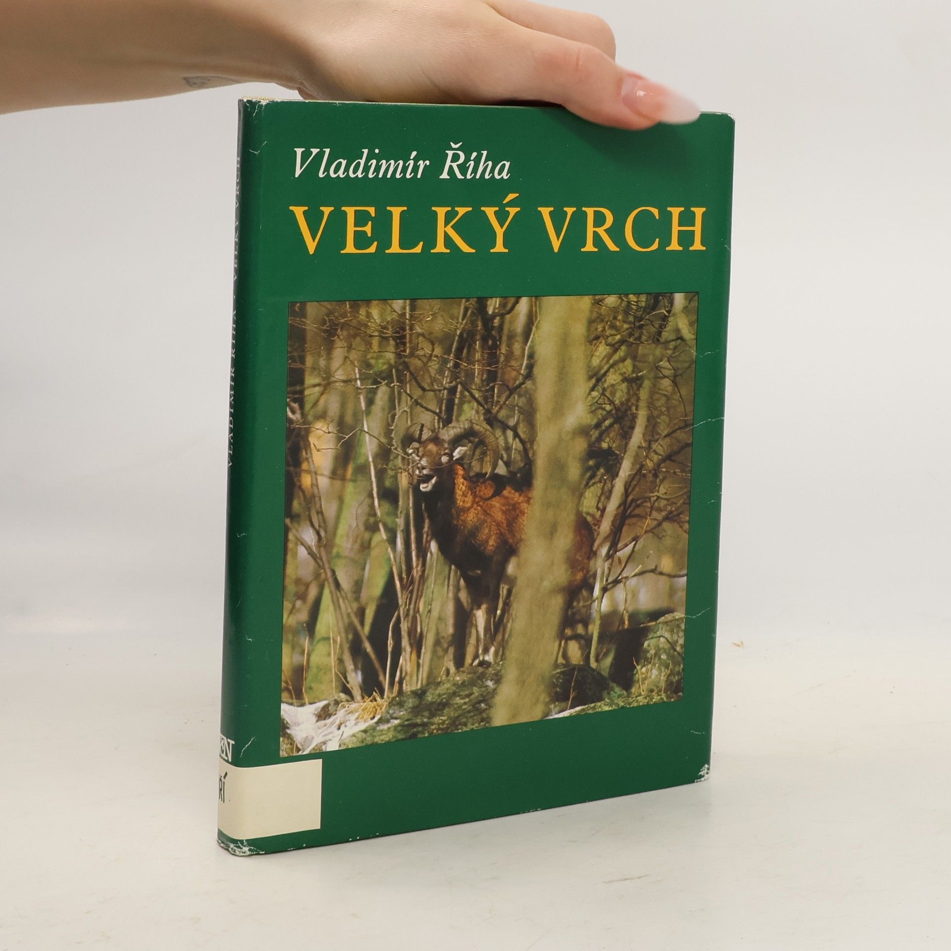 Vladimír Říha Velký vrch