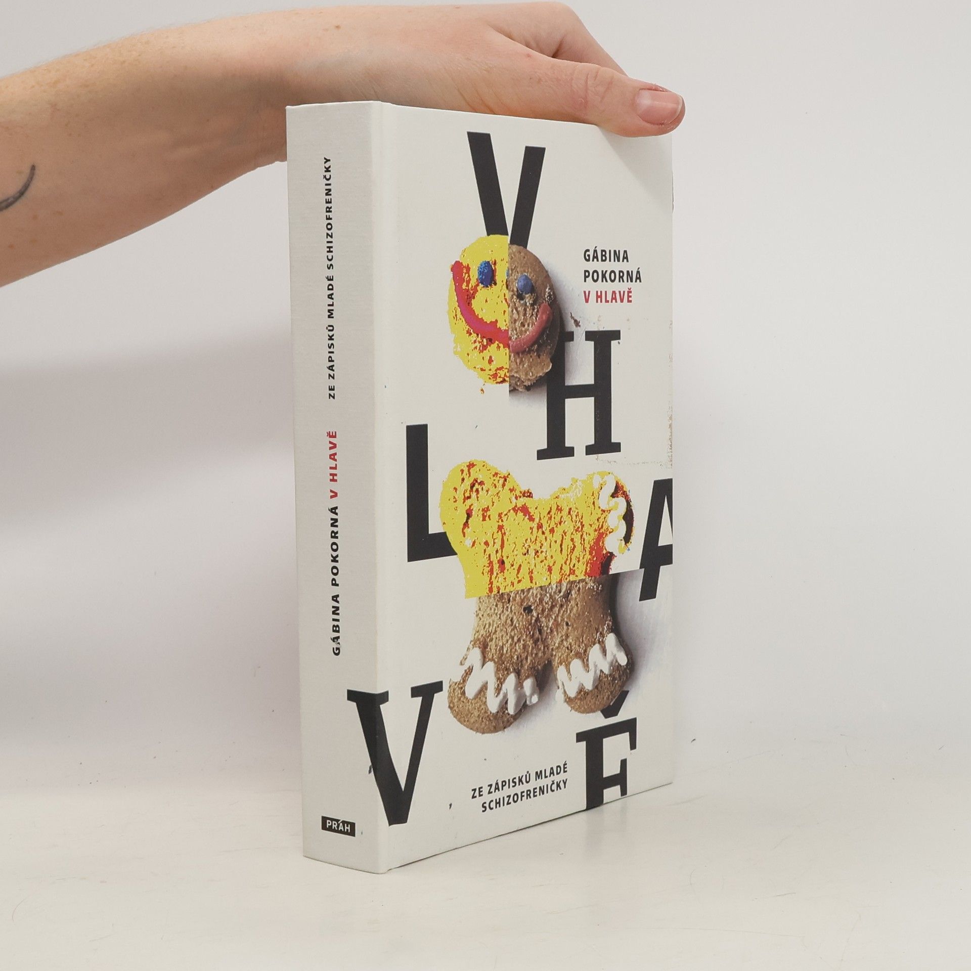 Gábina Pokorná V hlavě. Ze zápisků mladé schizofreničky