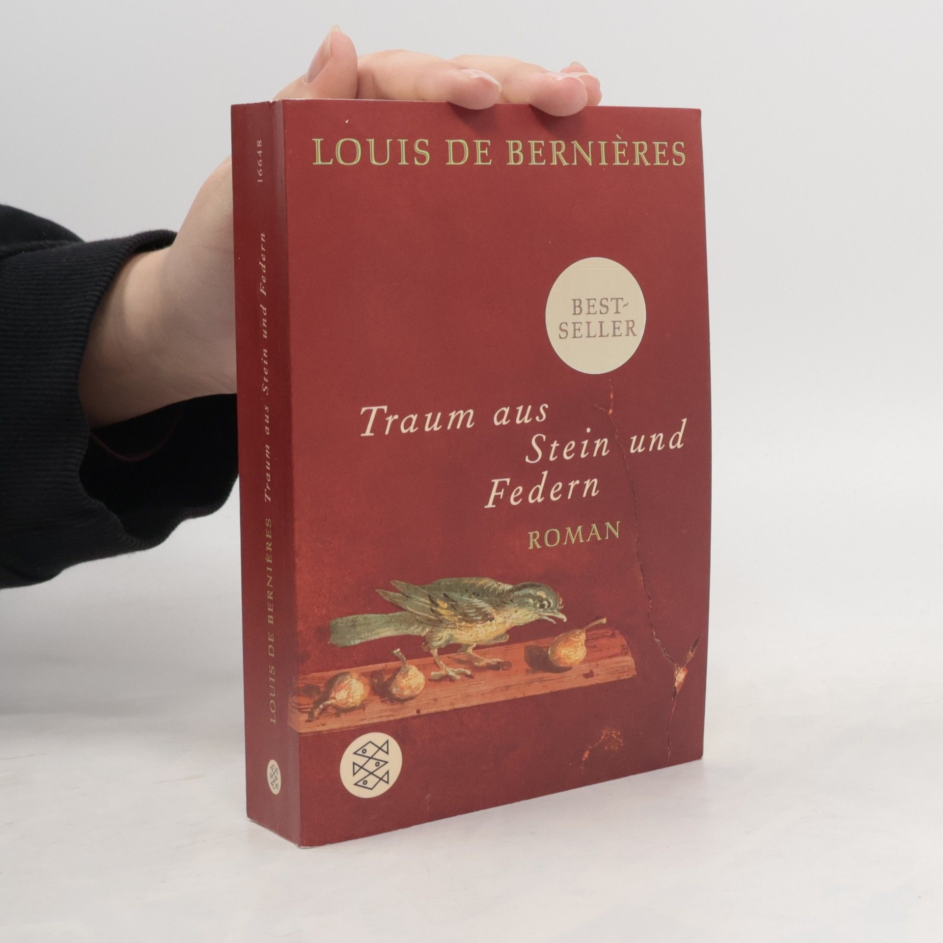 Louis de Bernieres Traum aus Stein und Federn