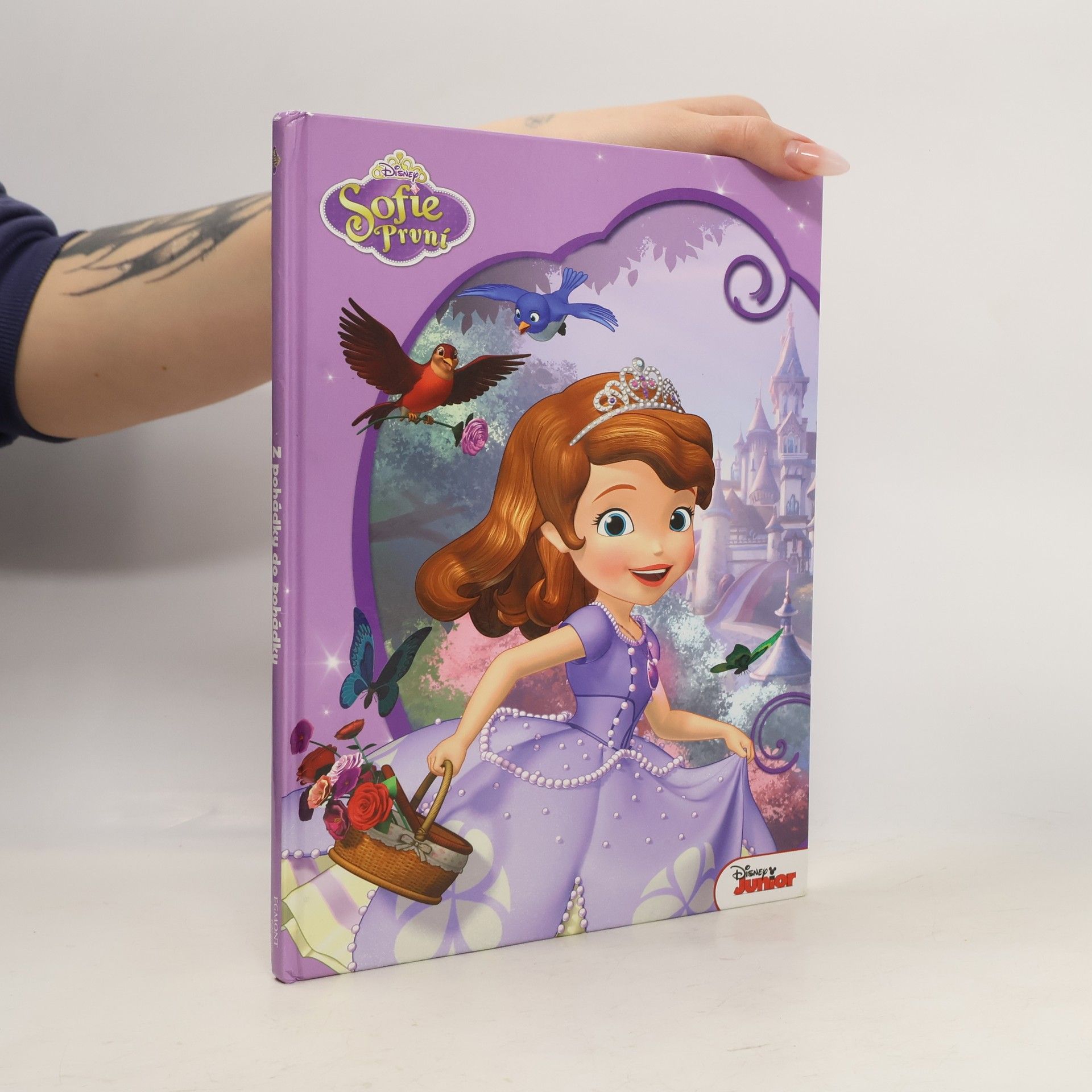 Autorenkollektiv Sofie První. Amulet a hymna