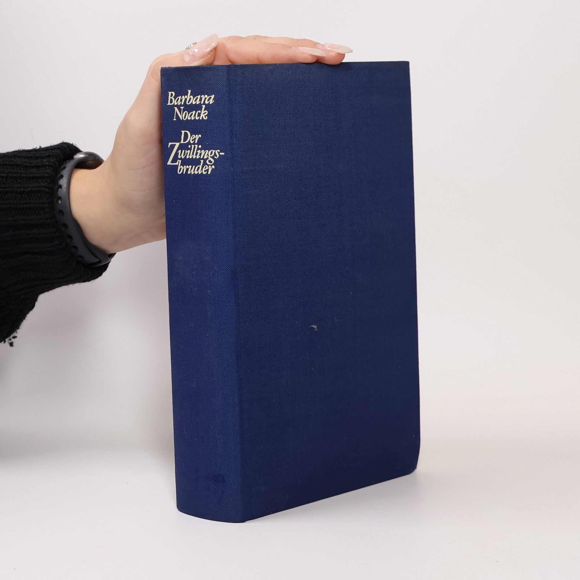 Barbara Noack Der Zwillingsbruder