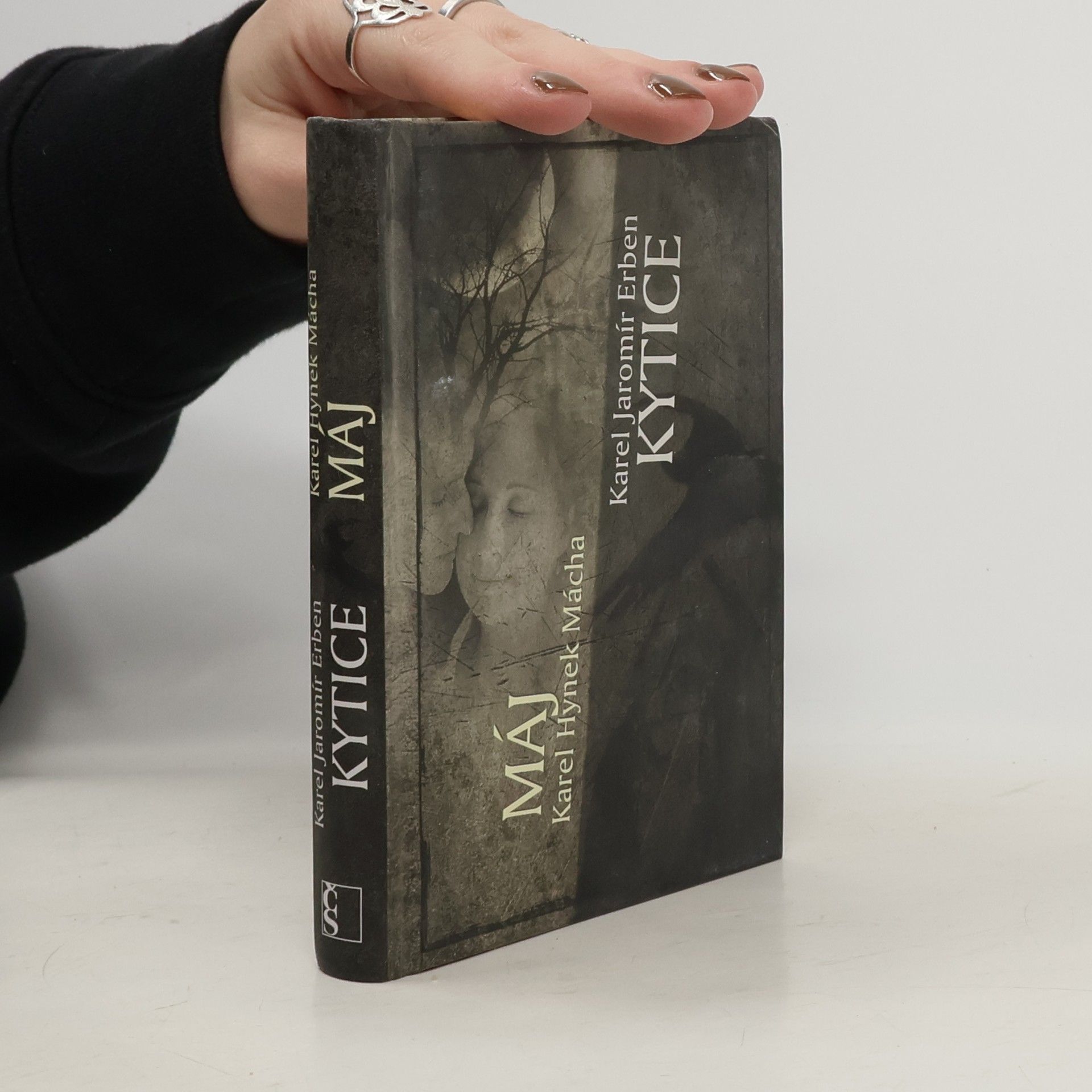 Karel Hynek Mácha Máj. Kytice