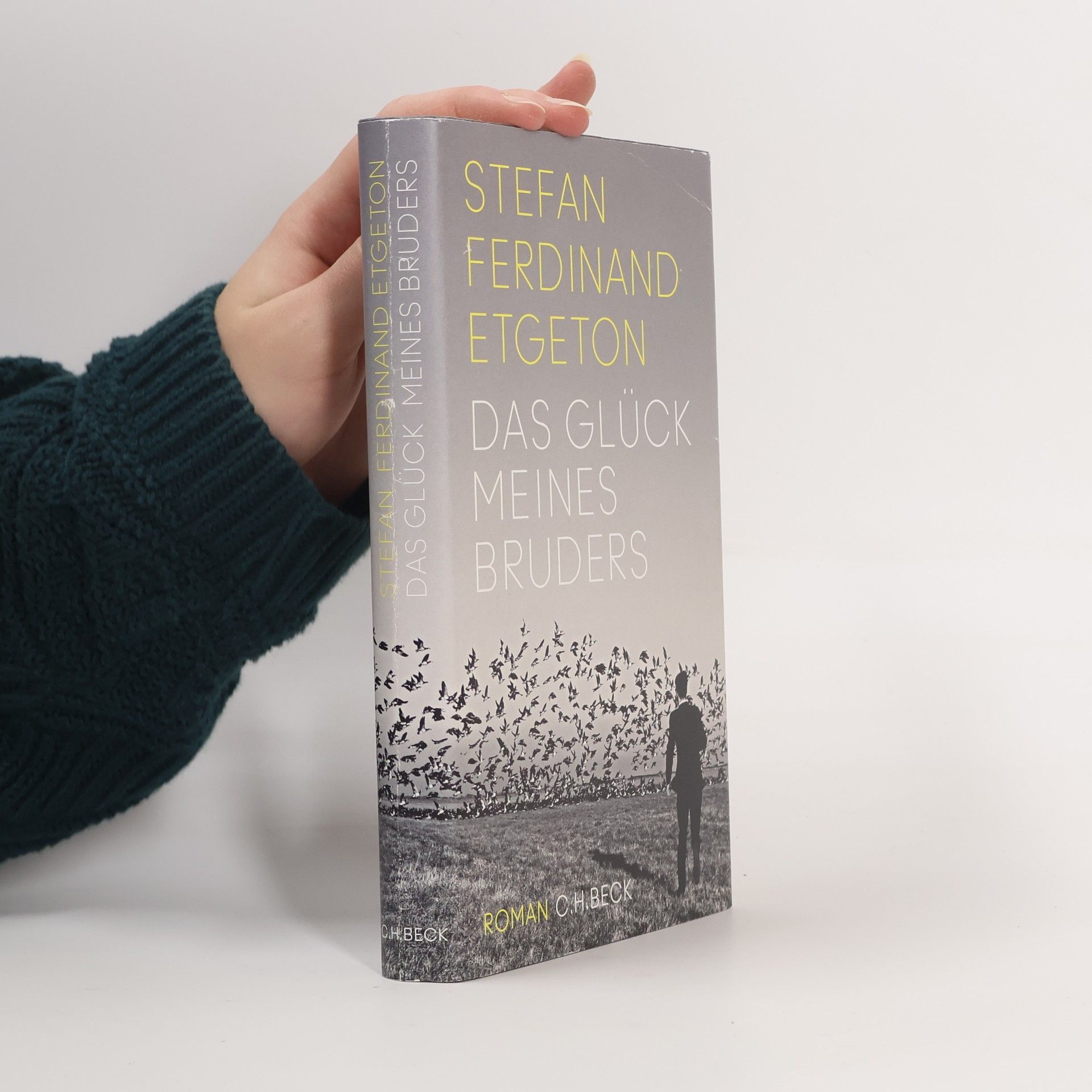 Stefan Ferdinand Etgeton Das Glück meines Bruders