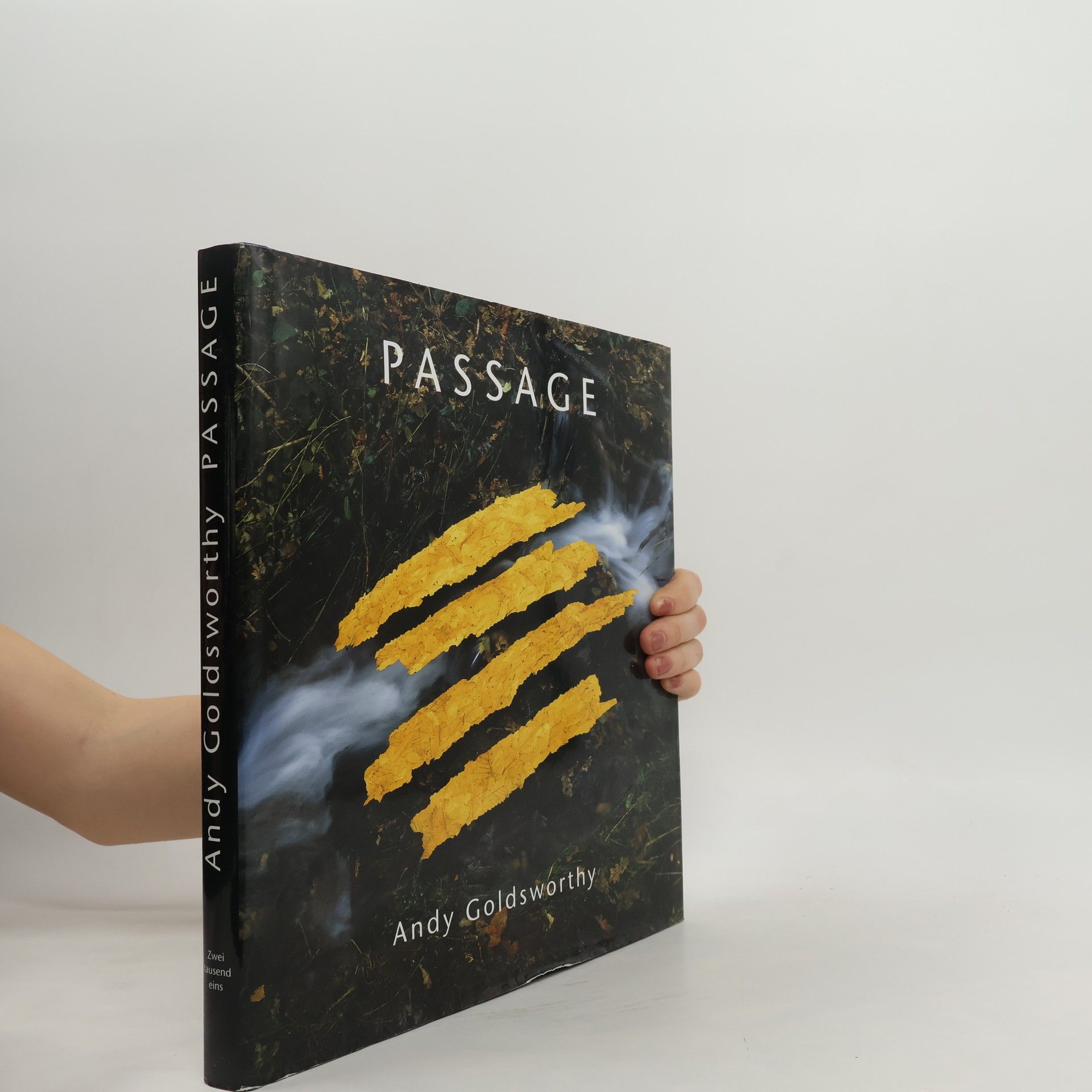 Andy Goldsworthy Passage