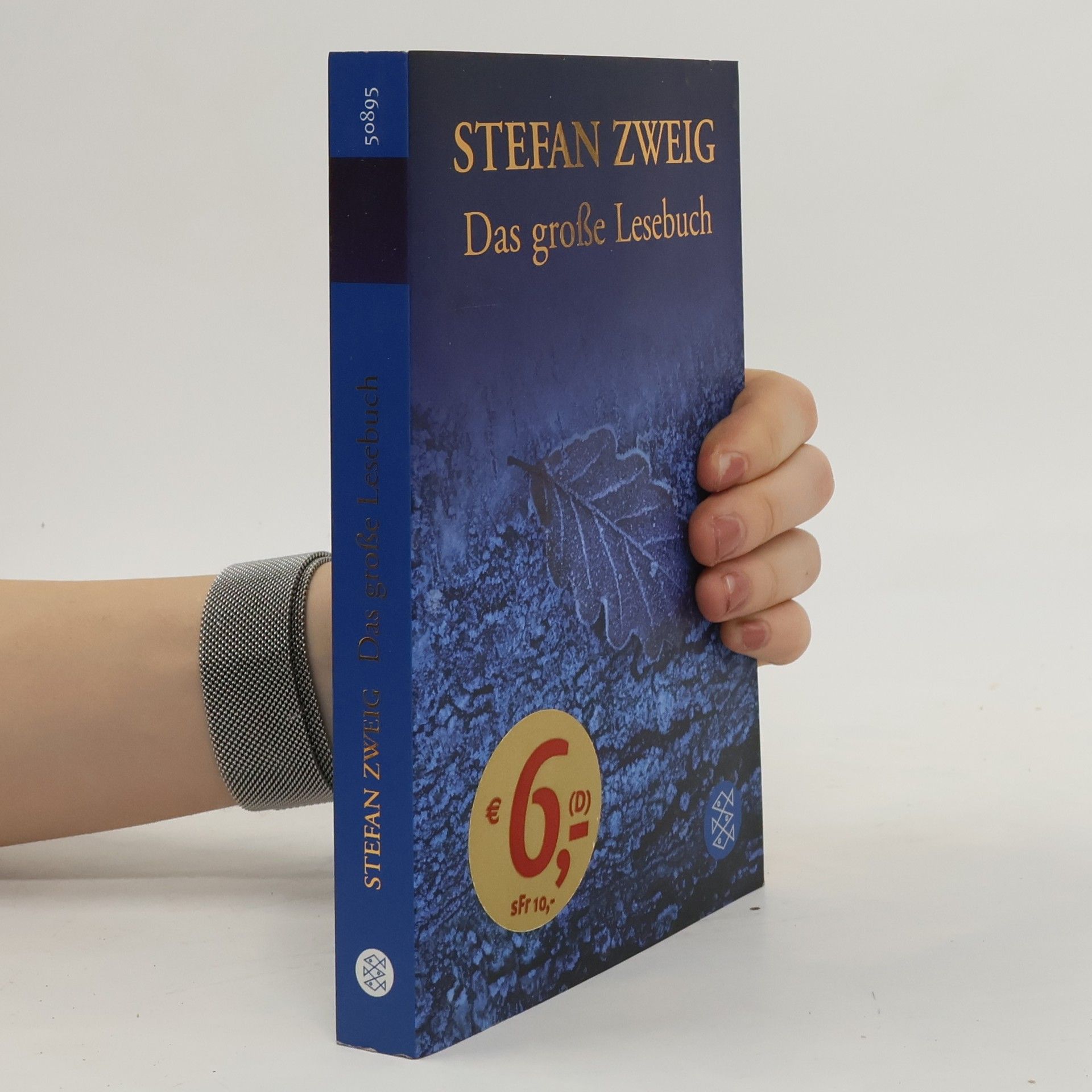 Stefan Zweig Das große Lesebuch