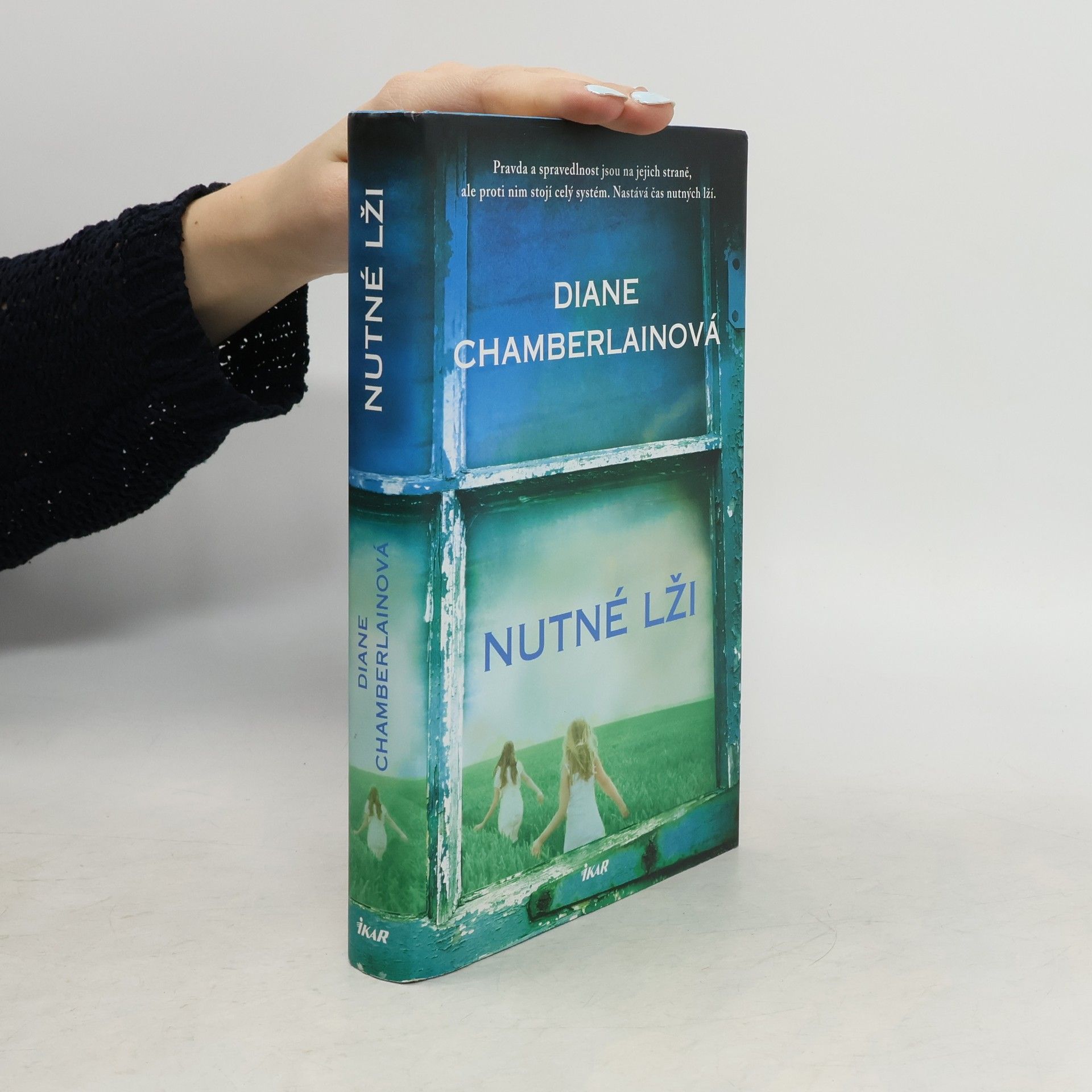 Diane Chamberlain Nutné lži