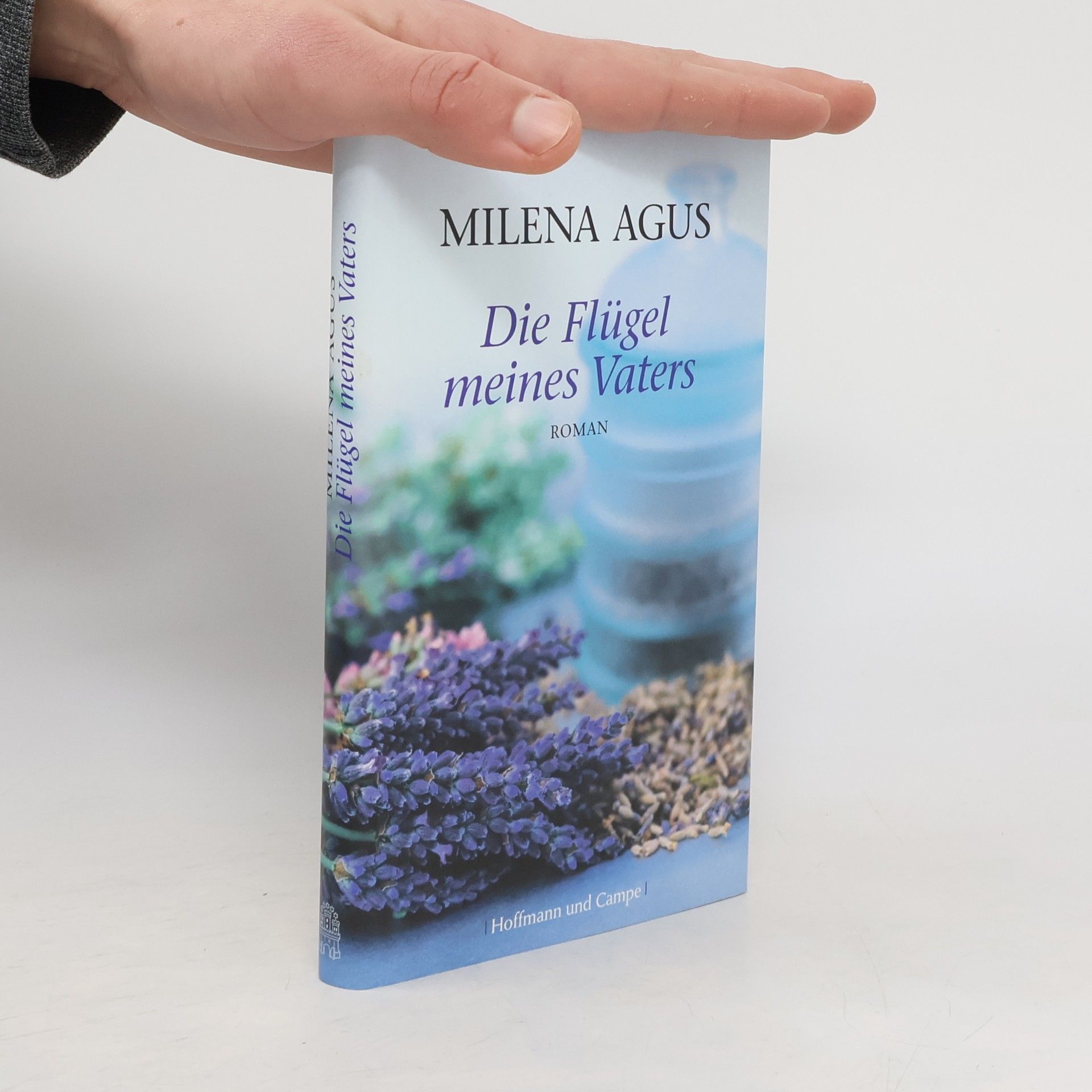 Milena Agus Die Flügel meines Vaters