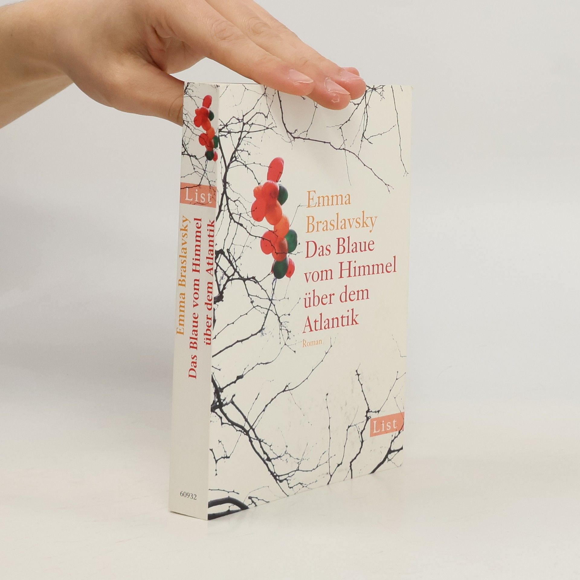 Emma Braslavsky Das Blaue vom Himmel über dem Atlantik